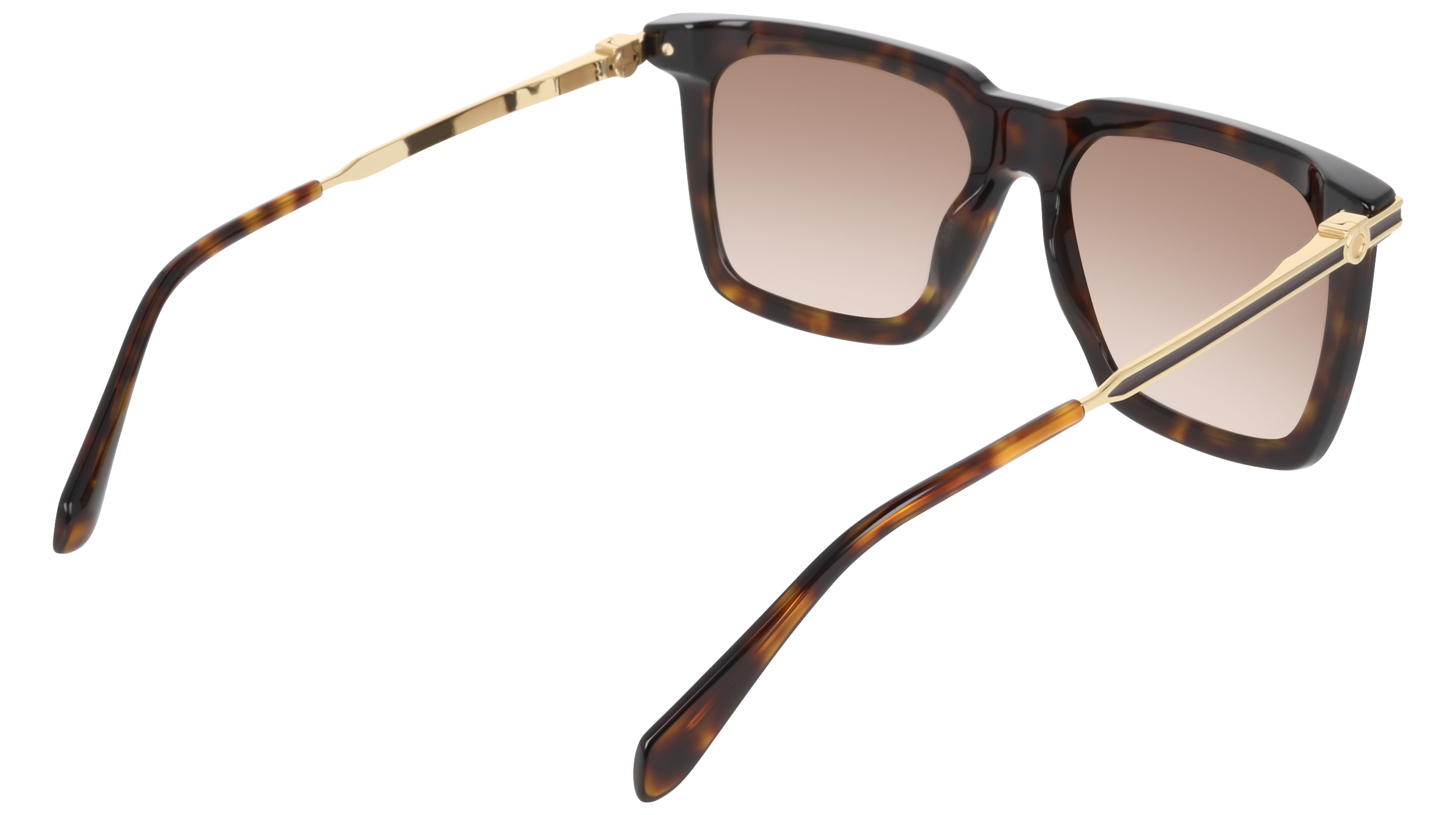 SF2077SLBI 242 Occhiali da sole Ferragamo 6
