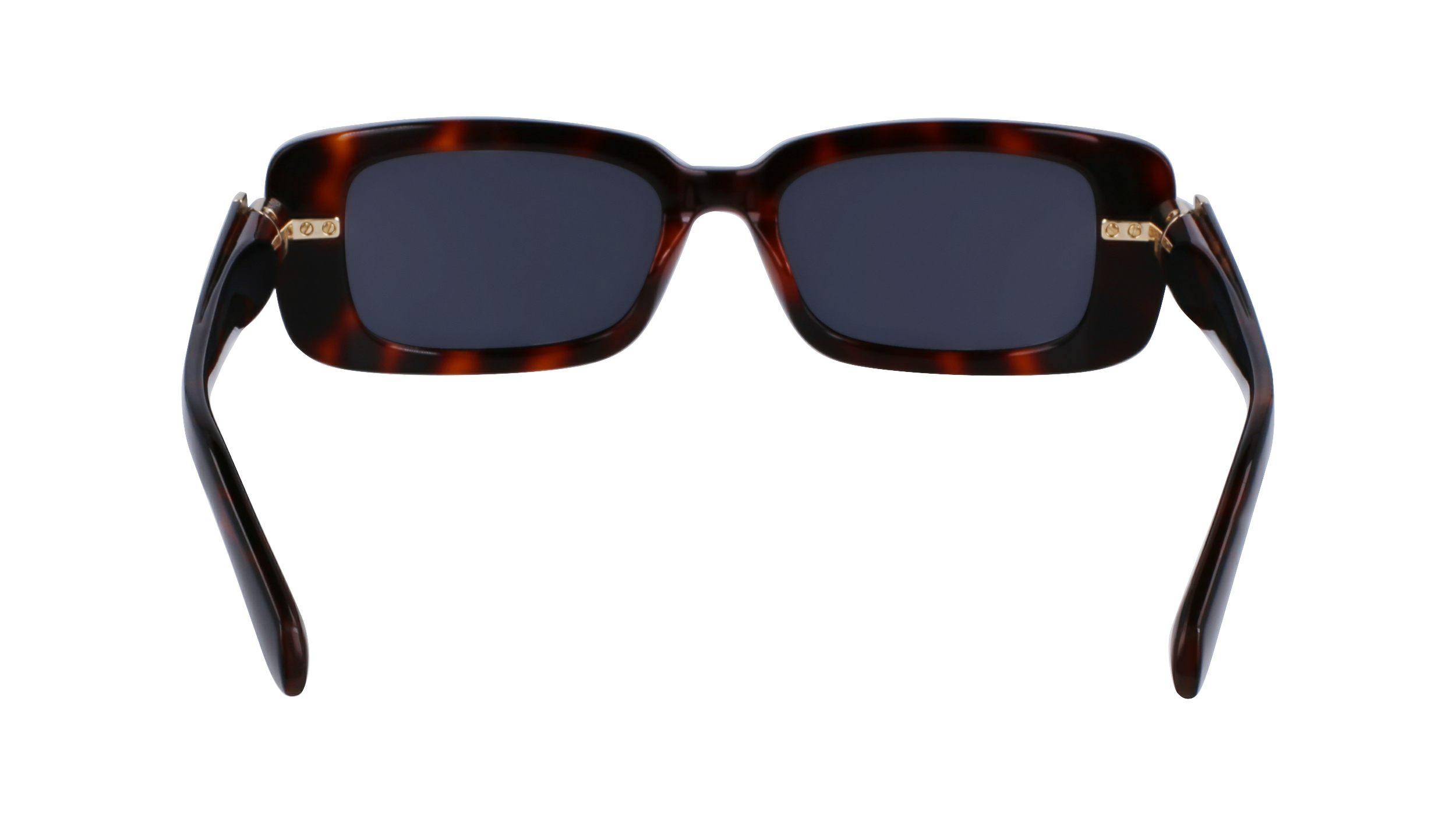SF1105S 240 Occhiali da sole Ferragamo 7
