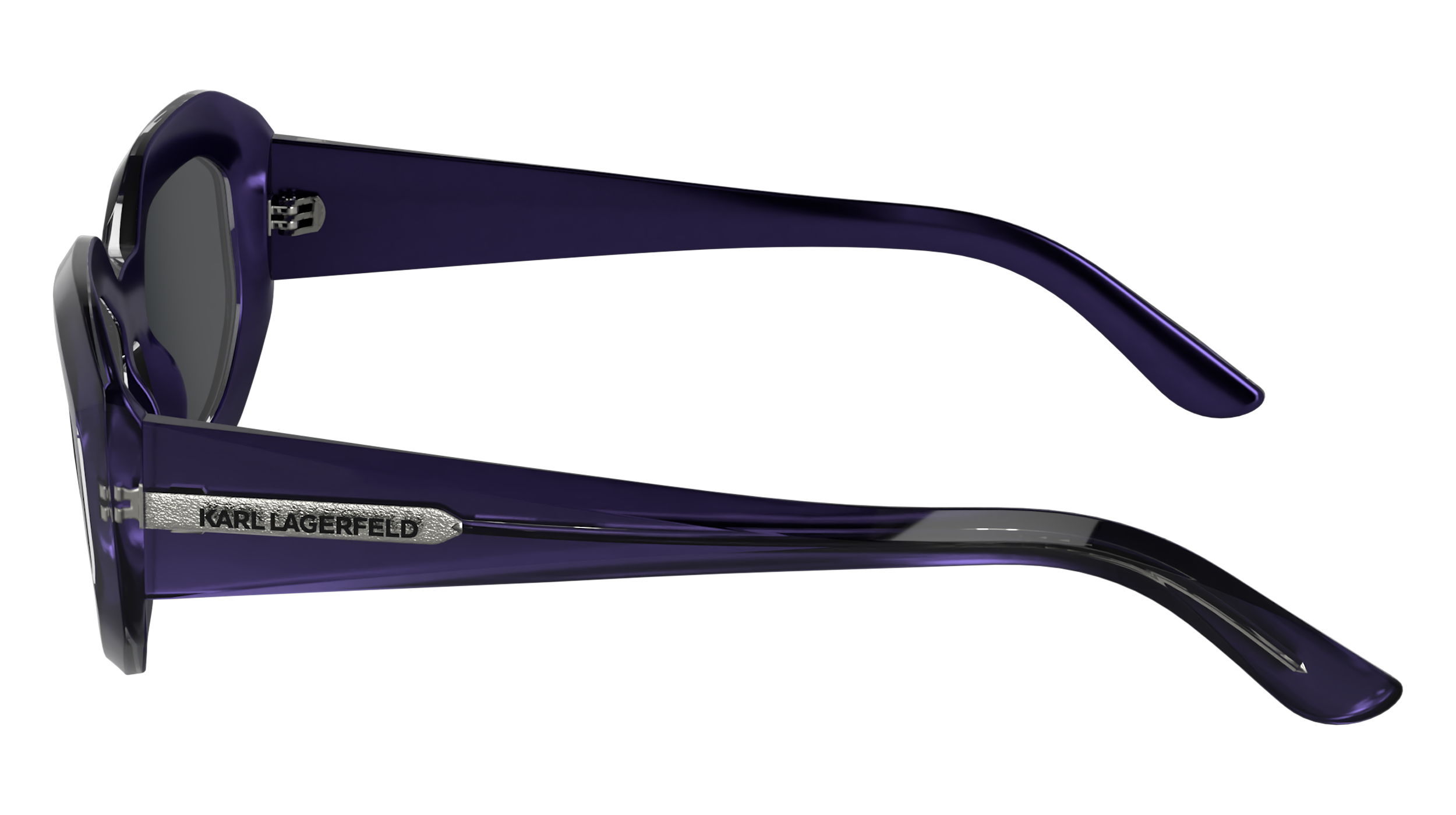 KL6167S 500 Occhiali da sole Karl Lagerfeld 4