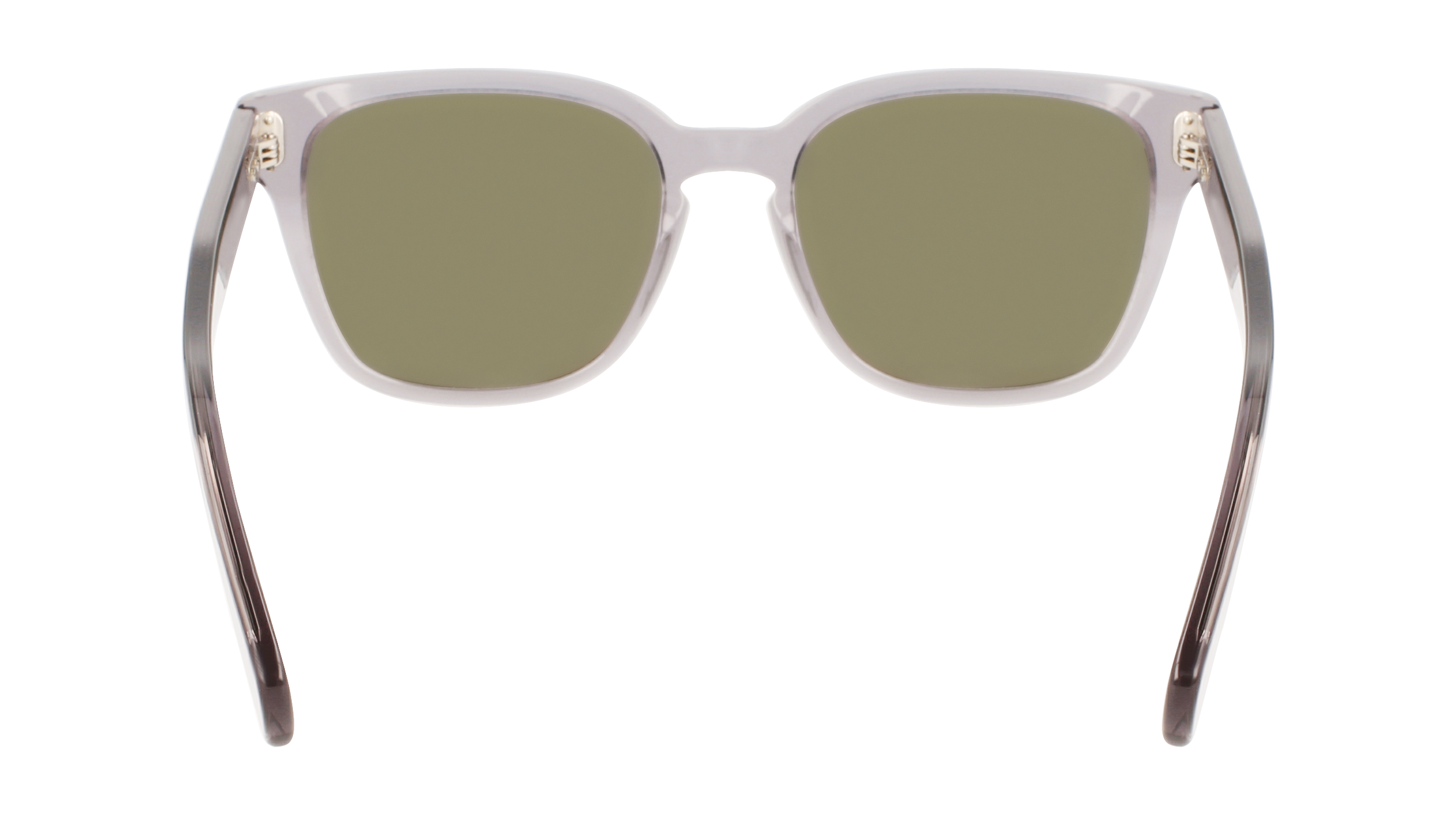 SF1040S 020 Occhiali da sole Ferragamo 4