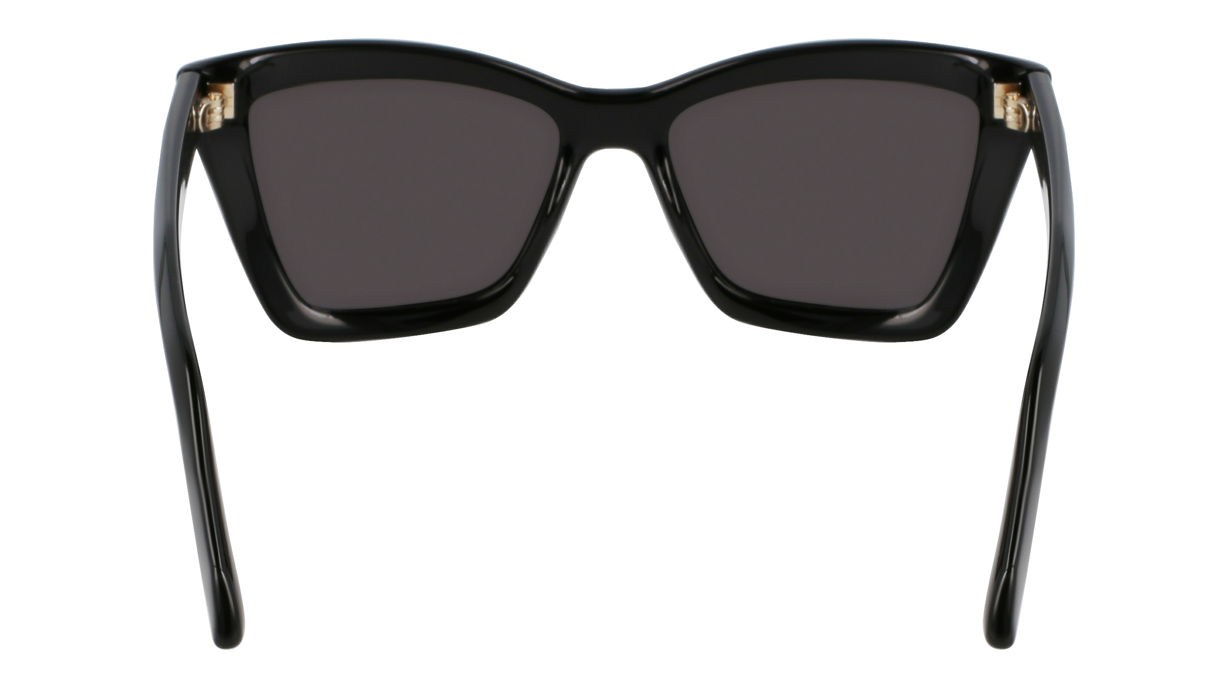 SF2039SE 001 Occhiali da sole Ferragamo 6