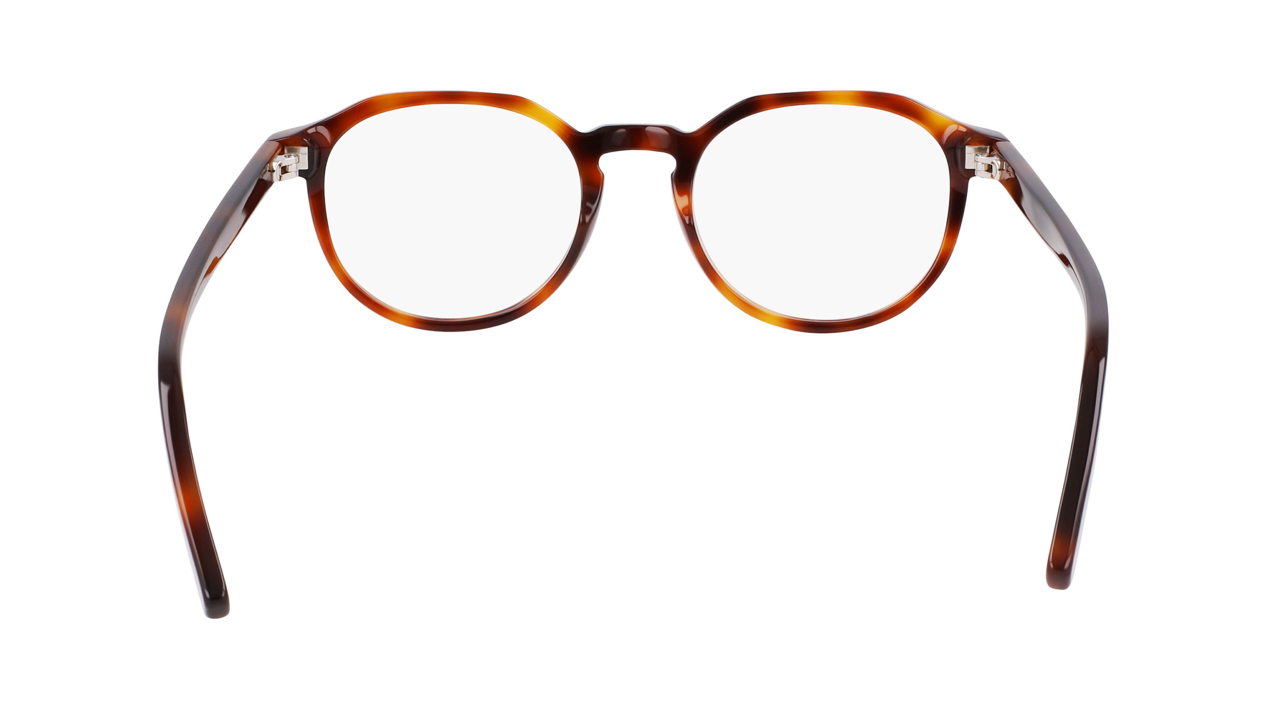 SF2955N 240 Montature da vista Ferragamo 6