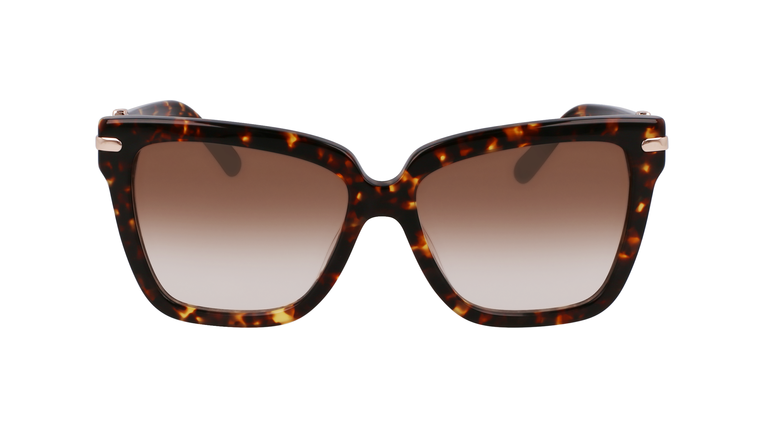 SF1085SN 219 Occhiali da sole Ferragamo 2