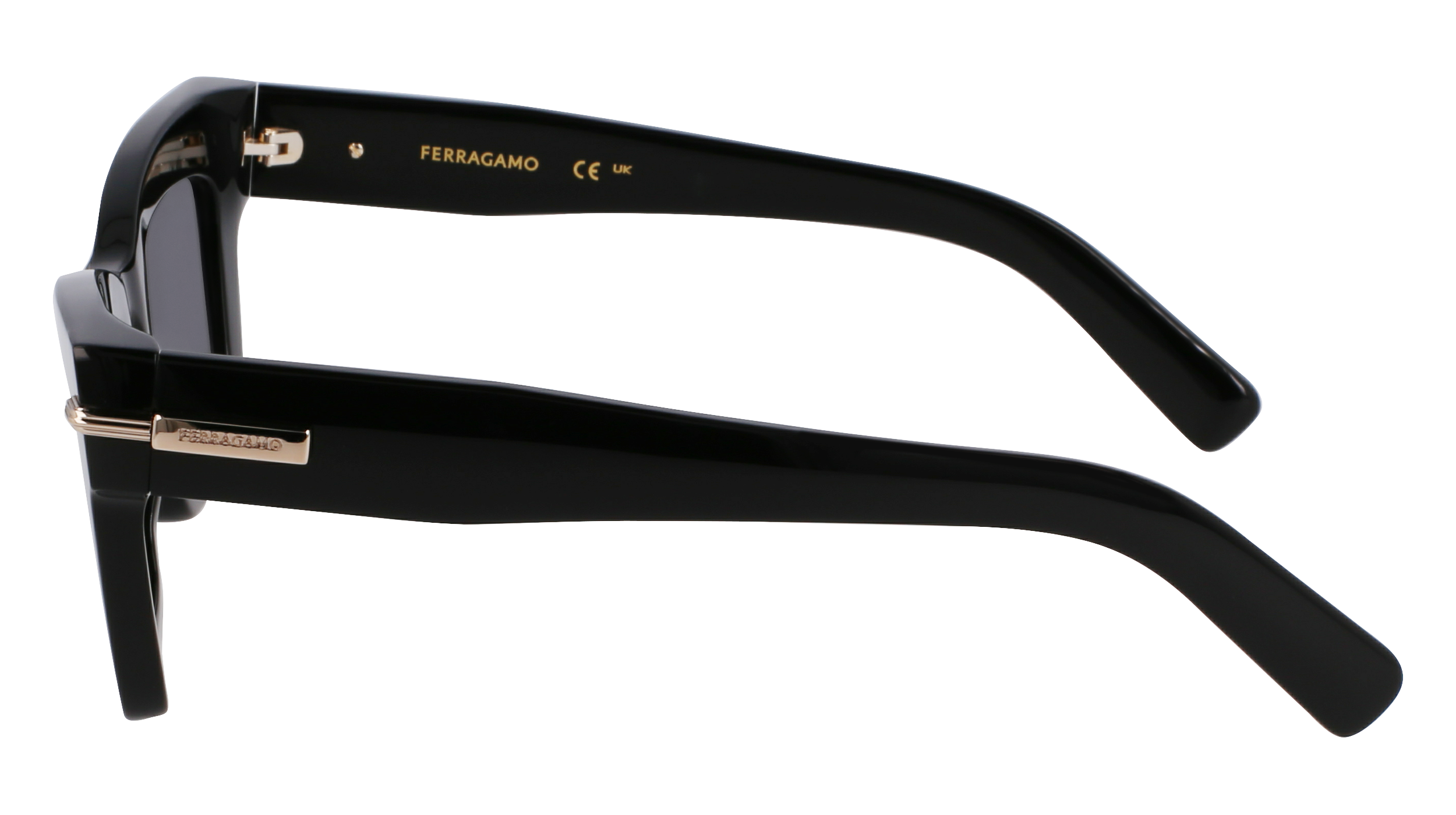 SF2031S 001 Occhiali da sole Ferragamo 4