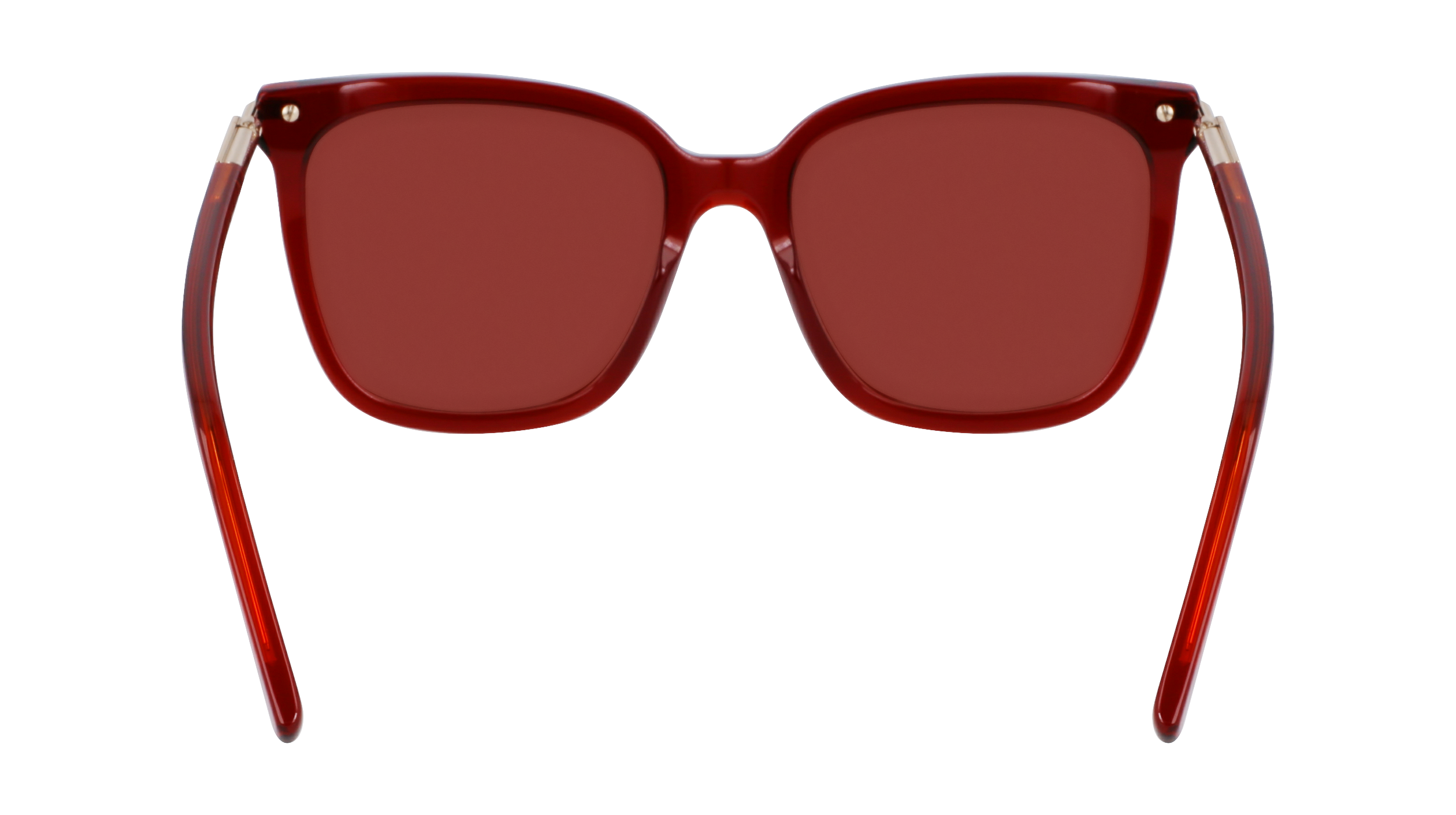 SF2037S 616 Occhiali da sole Ferragamo 6