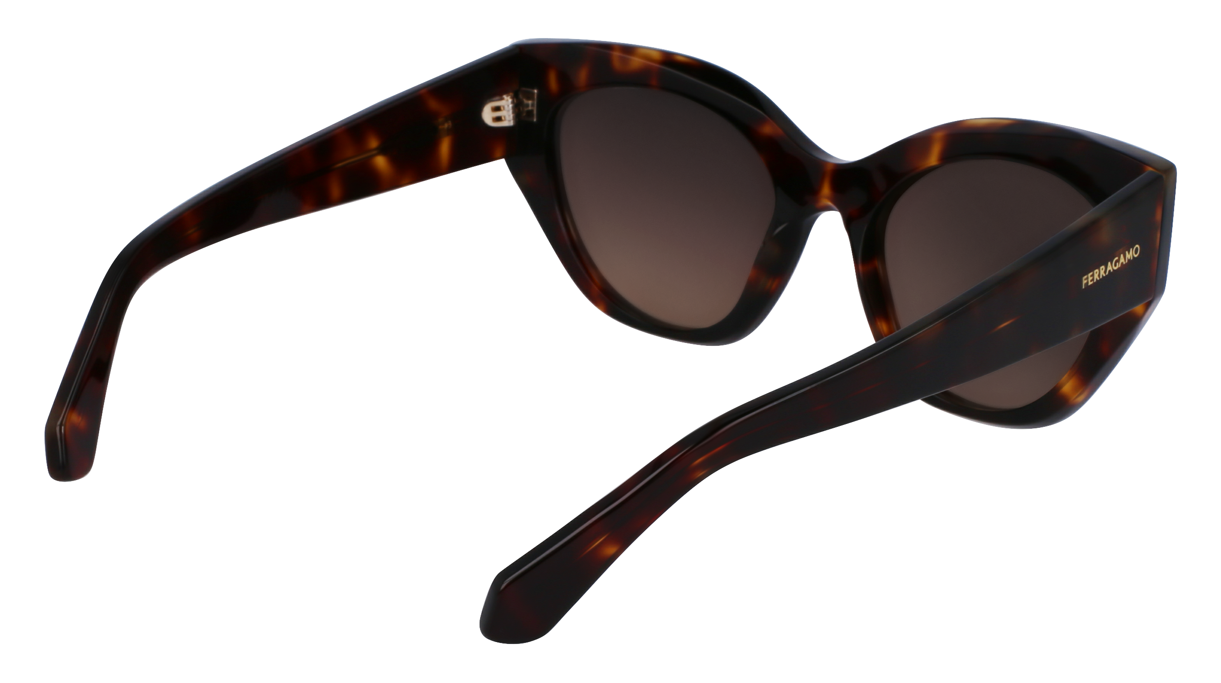 SF1107S 242 Occhiali da sole Ferragamo 5
