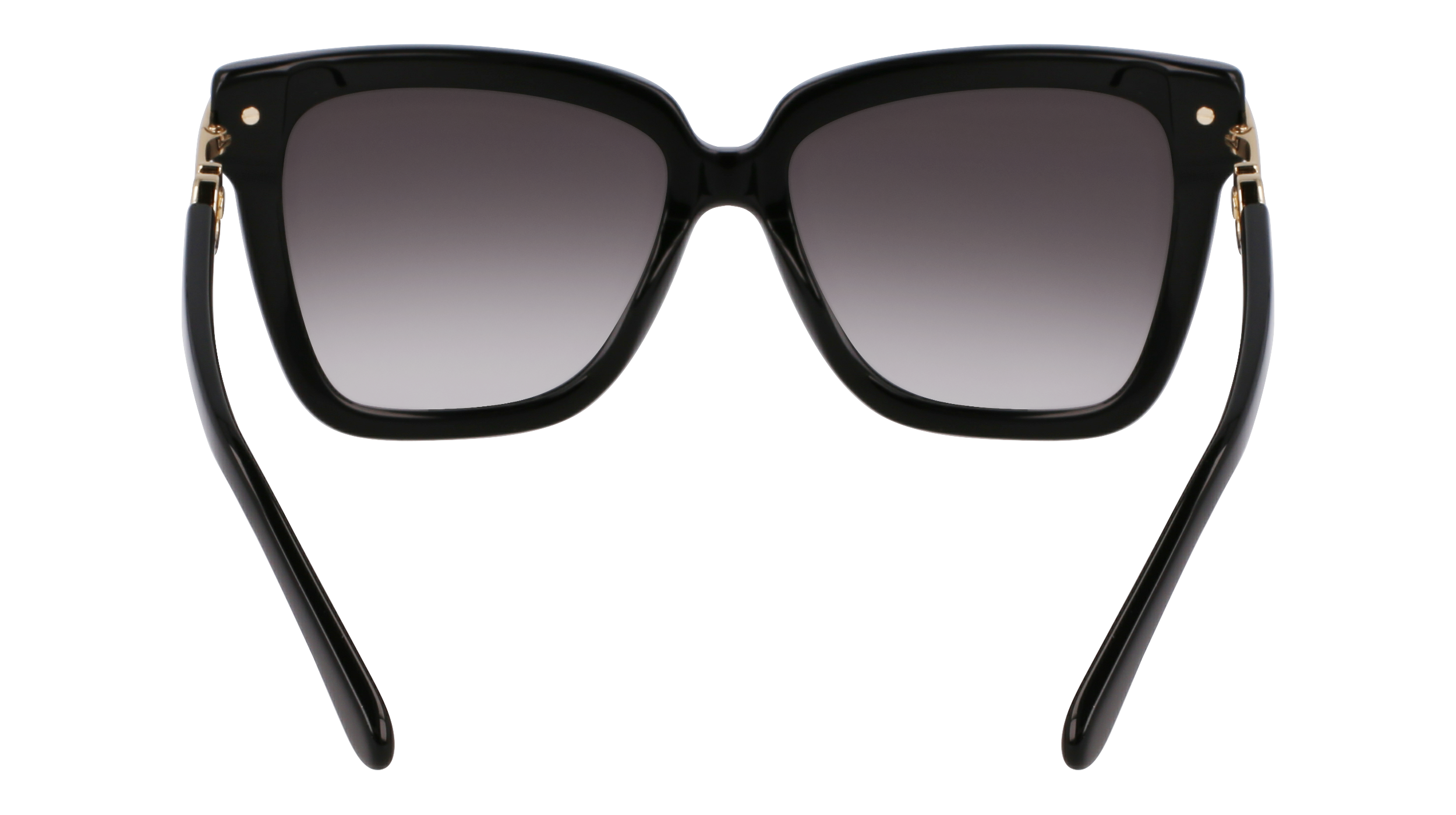 SF1085SN 011 Occhiali da sole Ferragamo 6