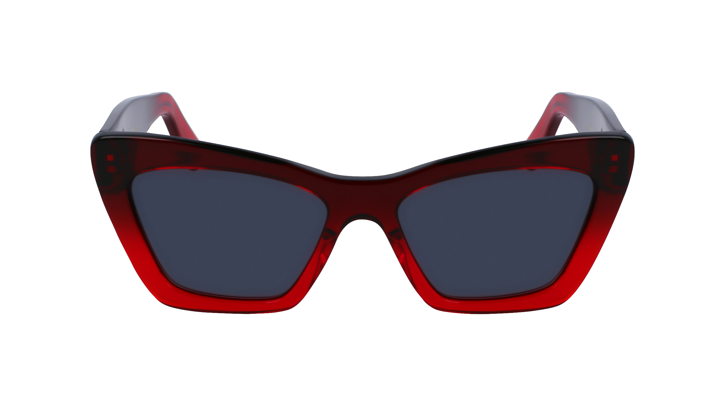 SF929SN 615 Occhiali da sole Ferragamo 2
