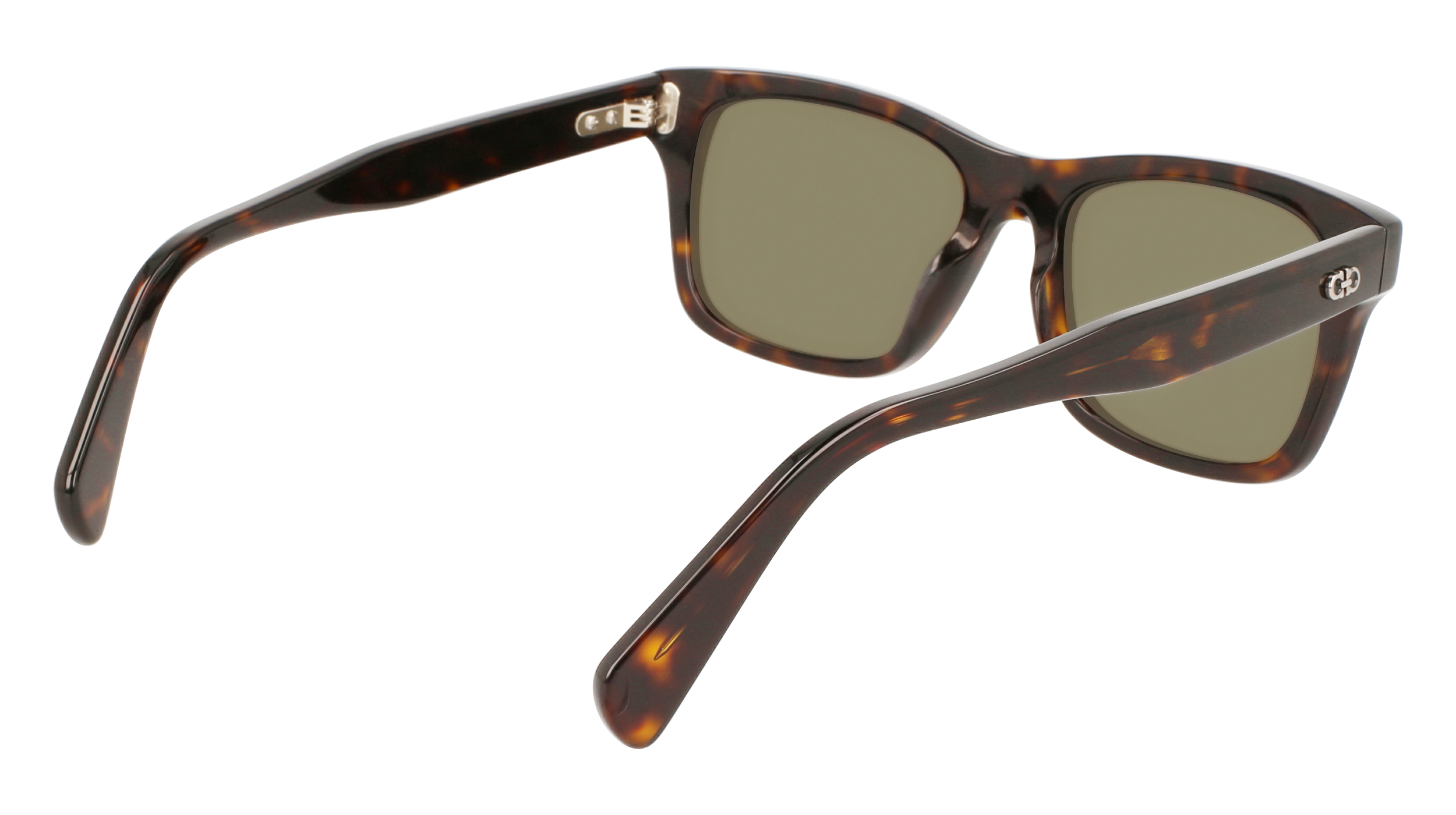 SF1039S 240 Occhiali da sole Ferragamo 5