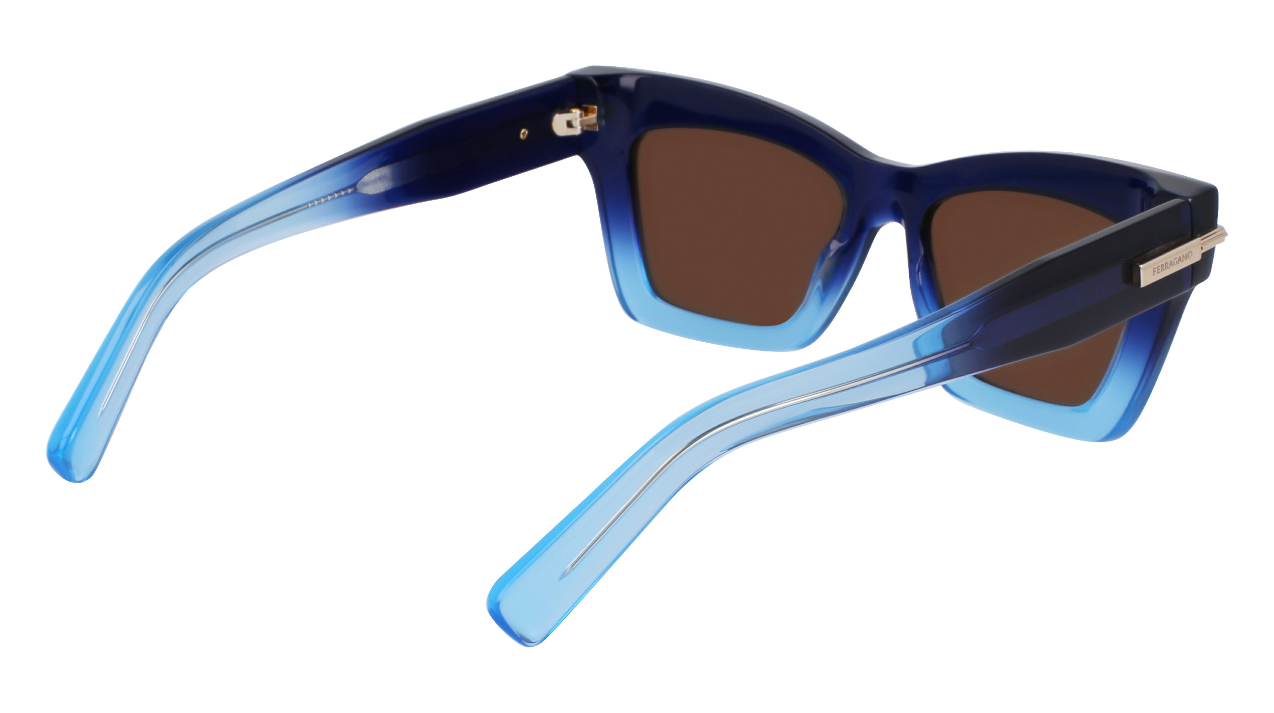 SF2031S 415 Occhiali da sole Ferragamo 5