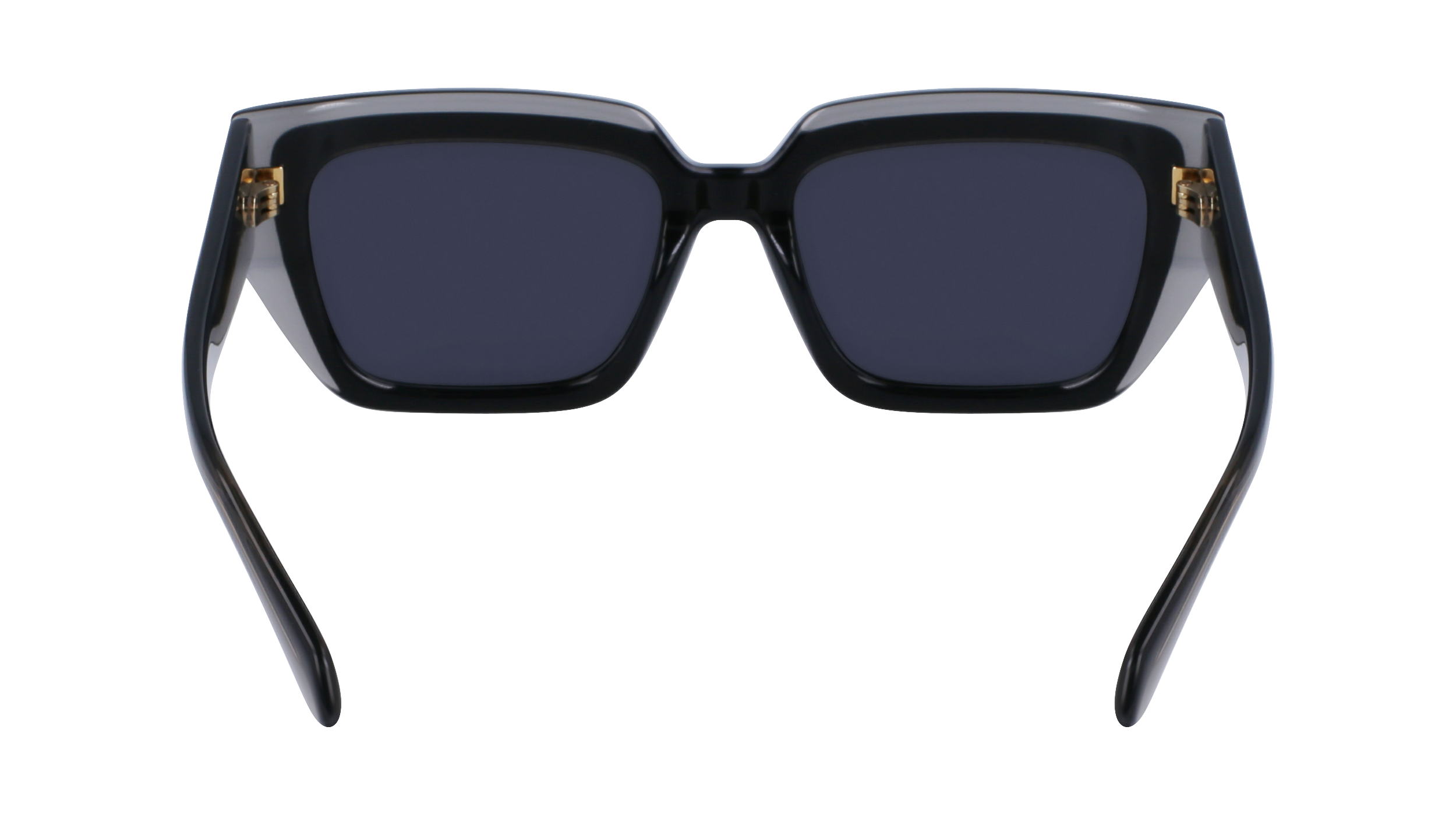 SF2002S 024 Occhiali da sole Ferragamo 6