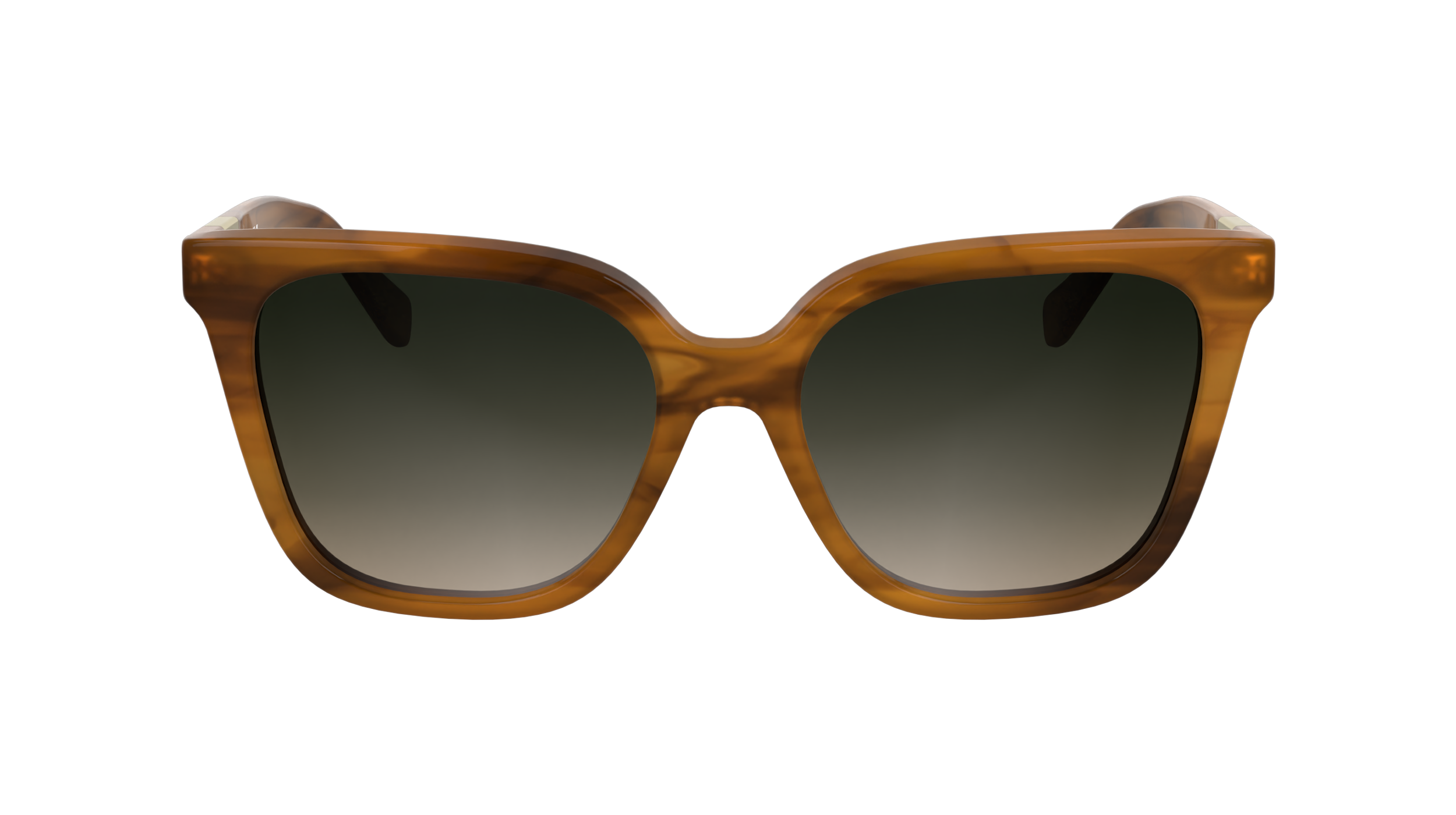 LO772S 211 Occhiali da sole LONGCHAMP 2