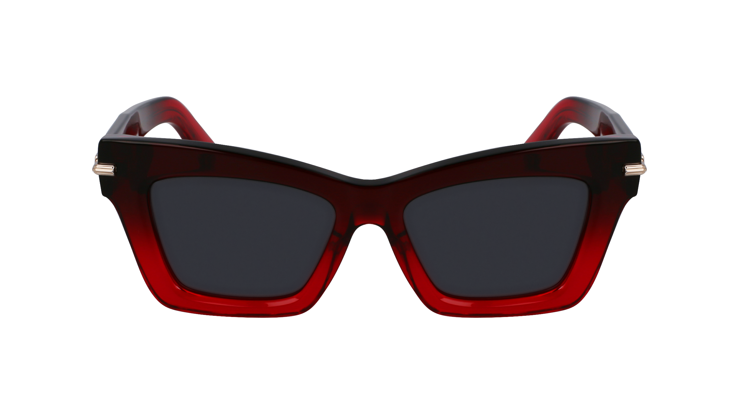 SF2031S 615 Occhiali da sole Ferragamo 2