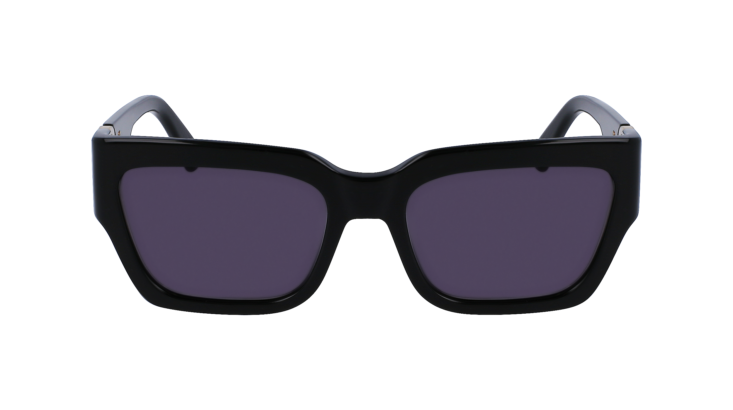 LO735S 1 Occhiali da sole LONGCHAMP 2
