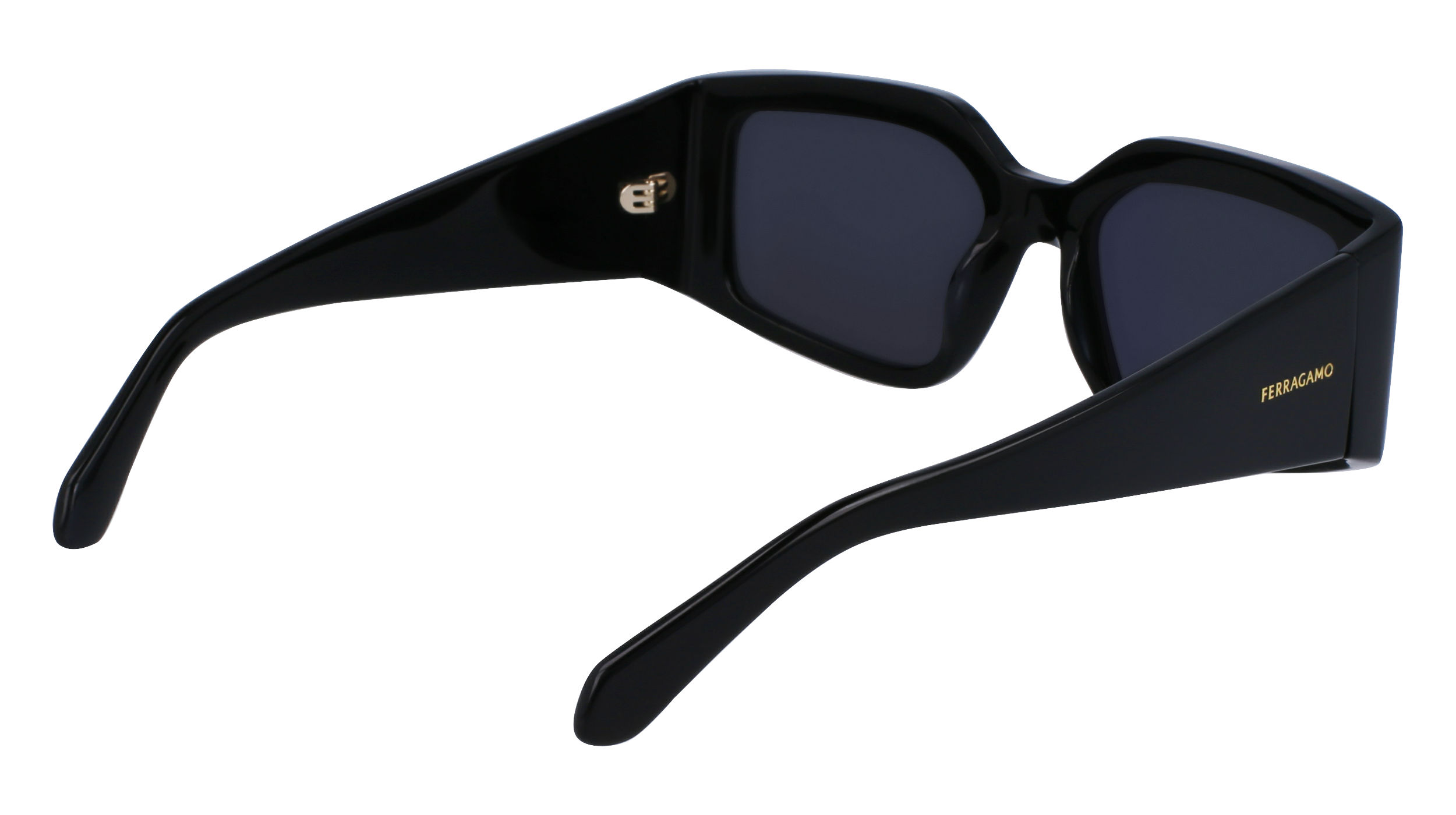 SF1101S 001 Occhiali da sole Ferragamo 7