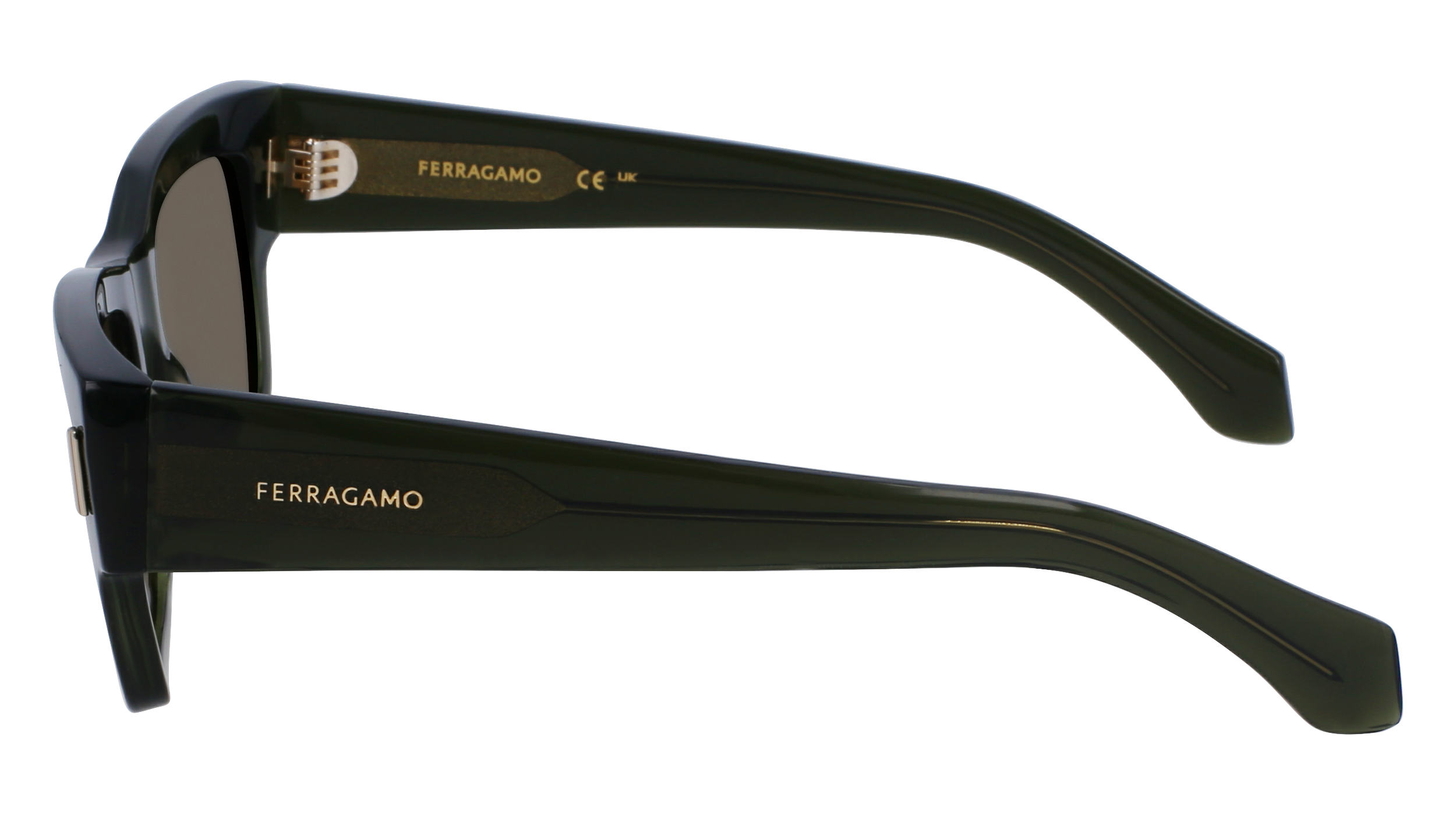 SF2011S 320 Occhiali da sole Ferragamo 4