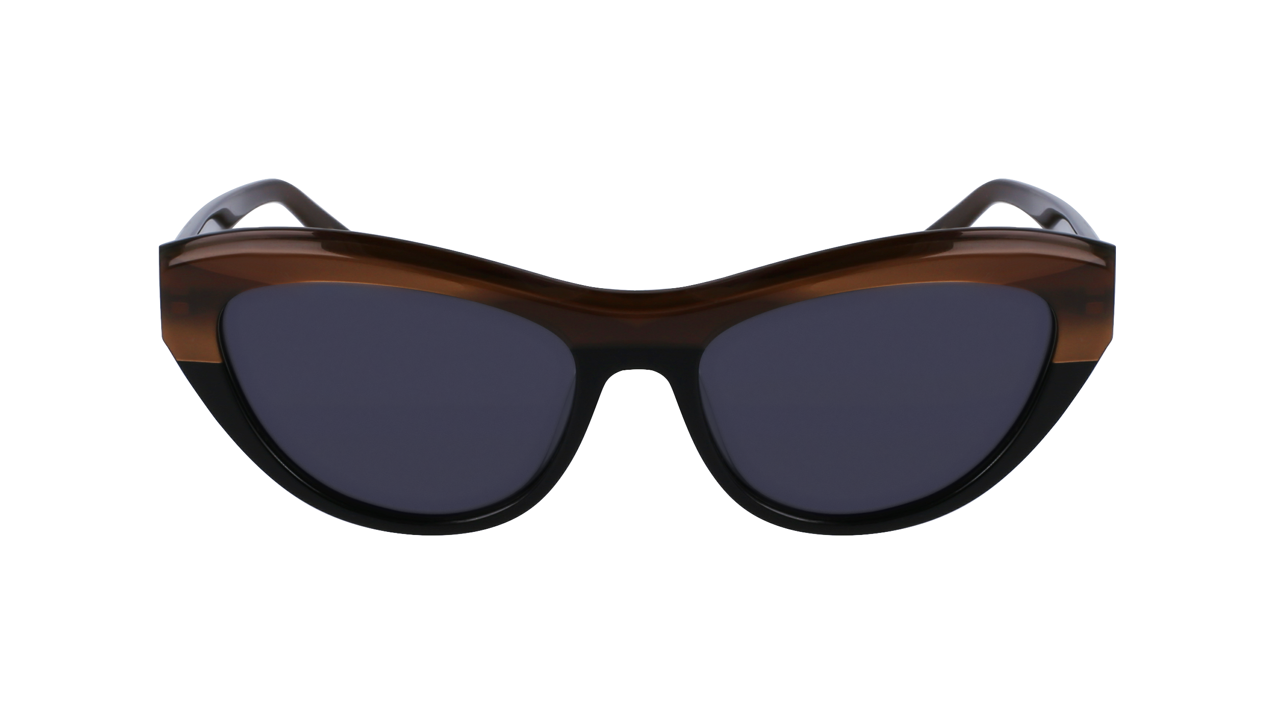 SF1103S 217 Occhiali da sole Ferragamo 2