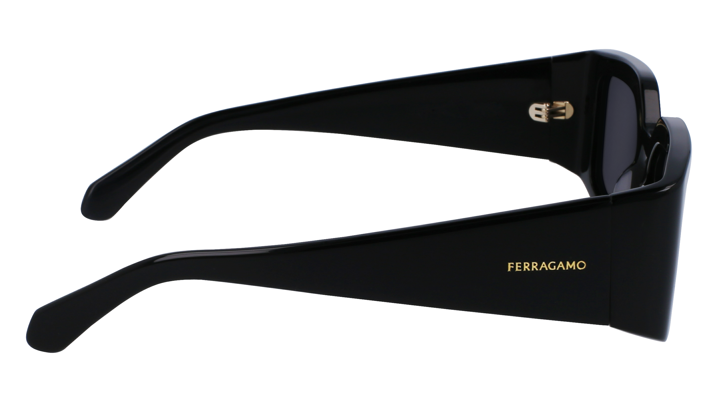 SF1101S 001 Occhiali da sole Ferragamo 8