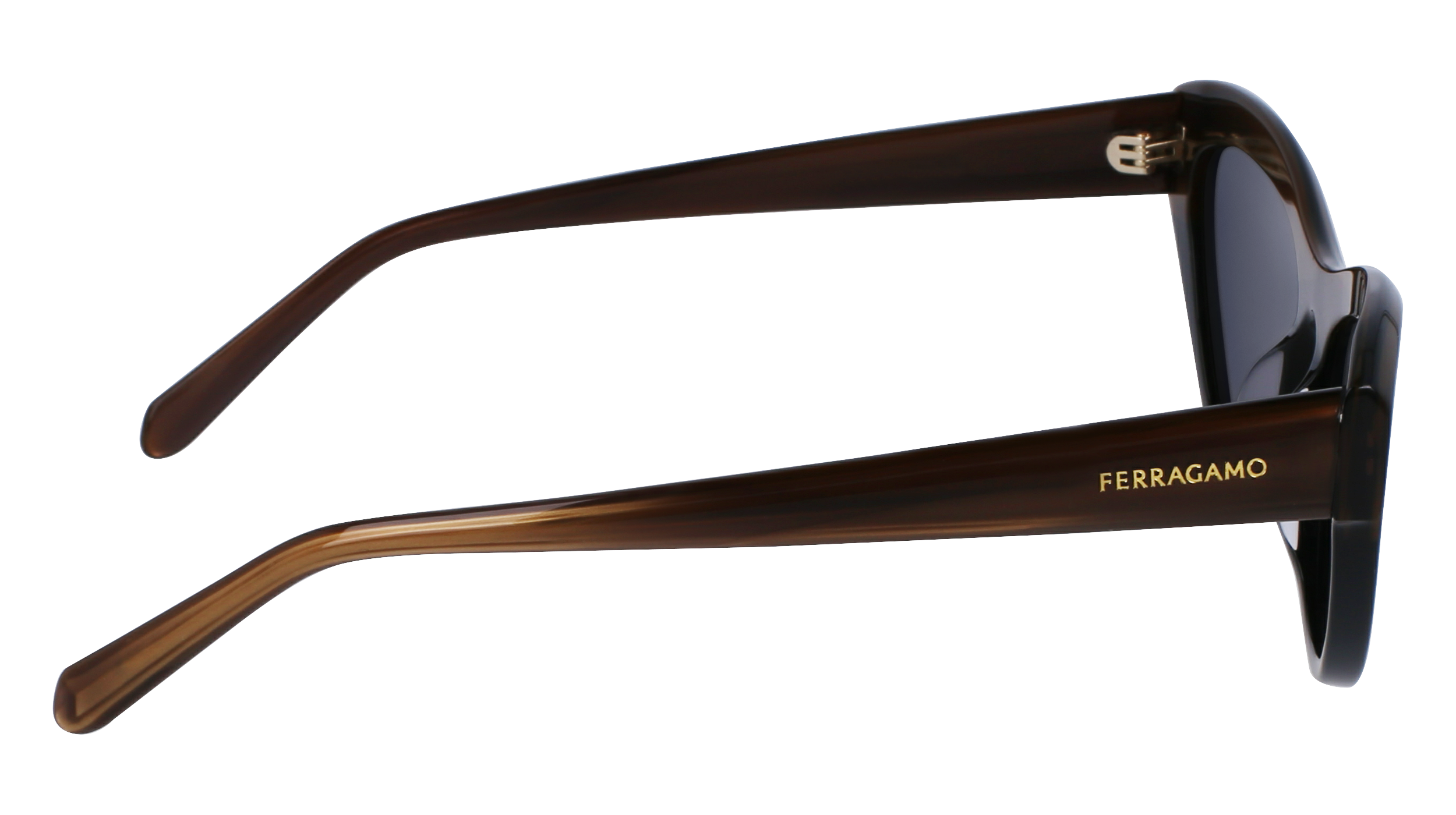 SF1103S 217 Occhiali da sole Ferragamo 6