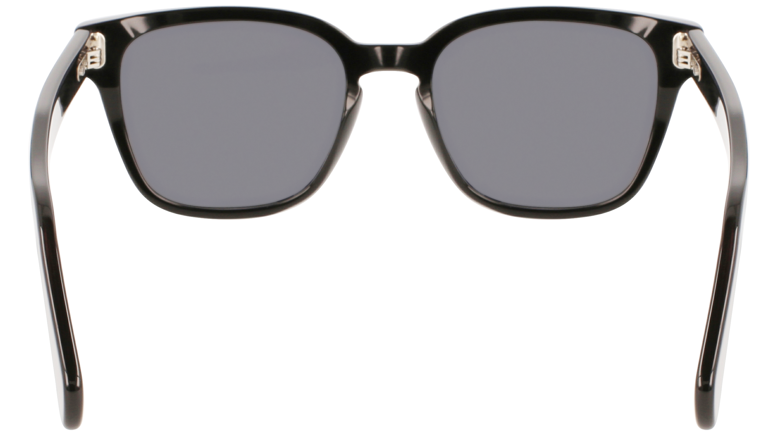 SF1040S 001 Occhiali da sole Ferragamo 4