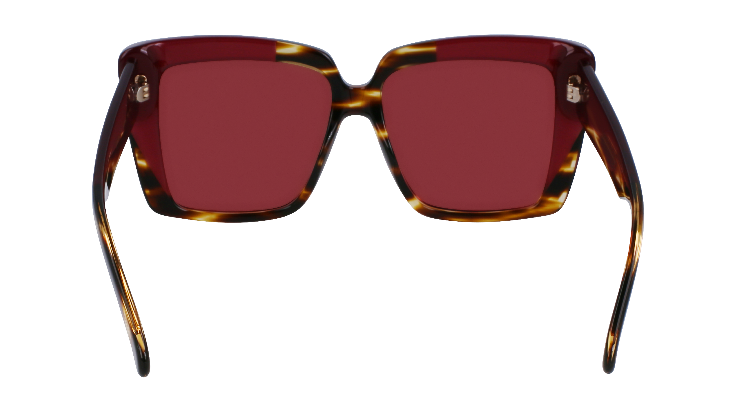 SF1060SN 215 Occhiali da sole Ferragamo 6