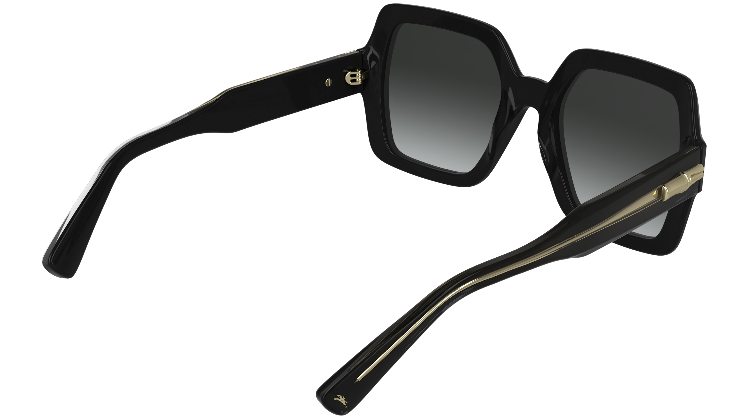 LONGCHAMP LO790S 001