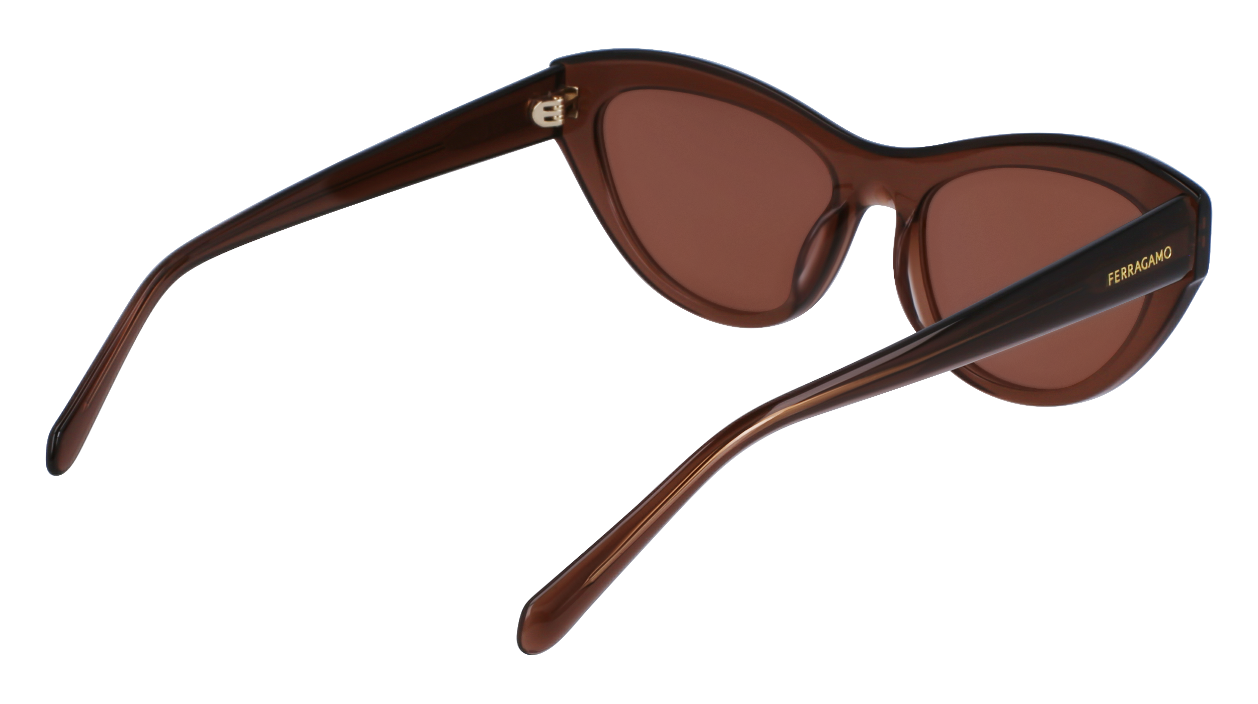 SF1103S 232 Occhiali da sole Ferragamo 5