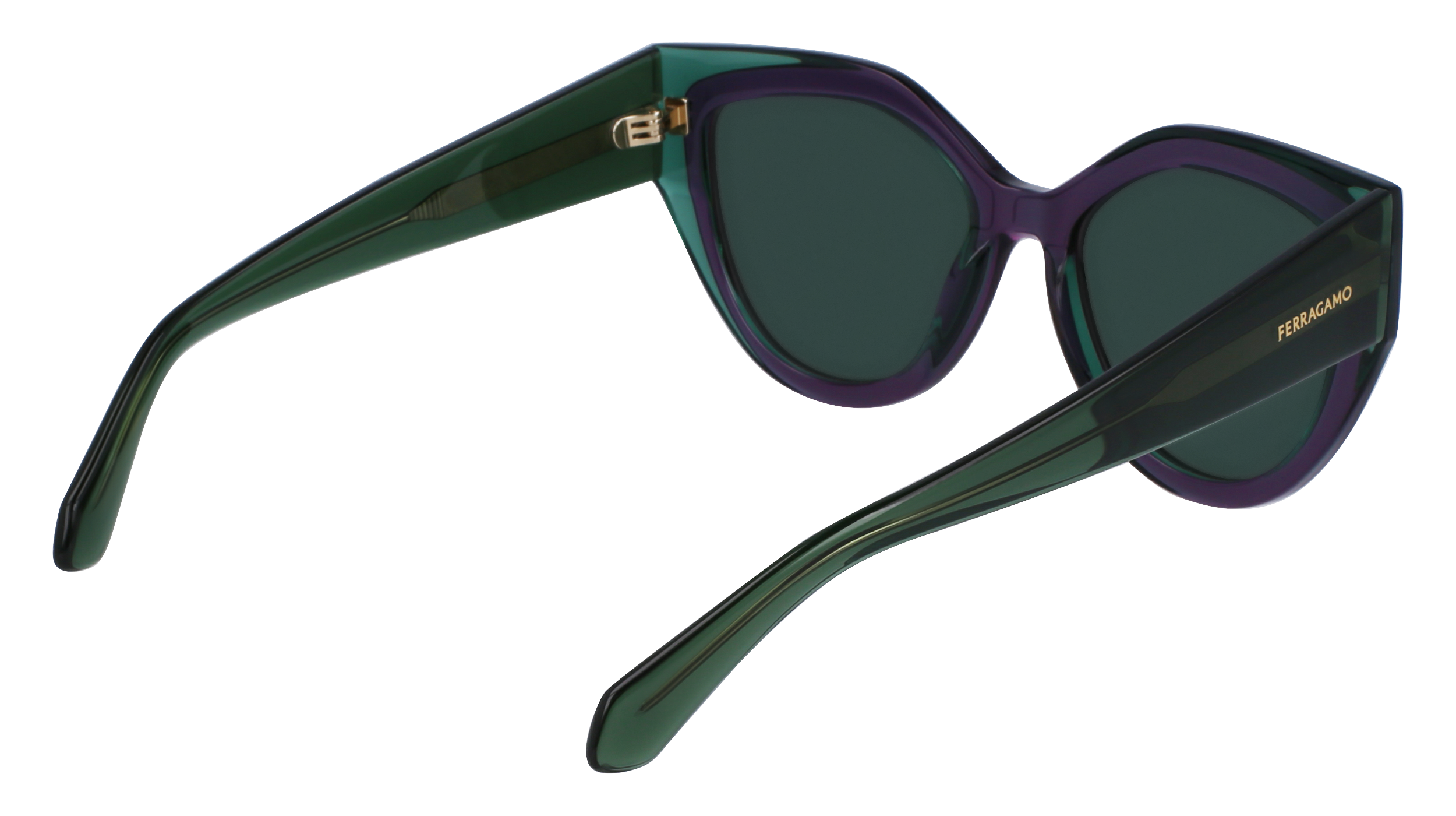 SF2004S 318 Occhiali da sole Ferragamo 5