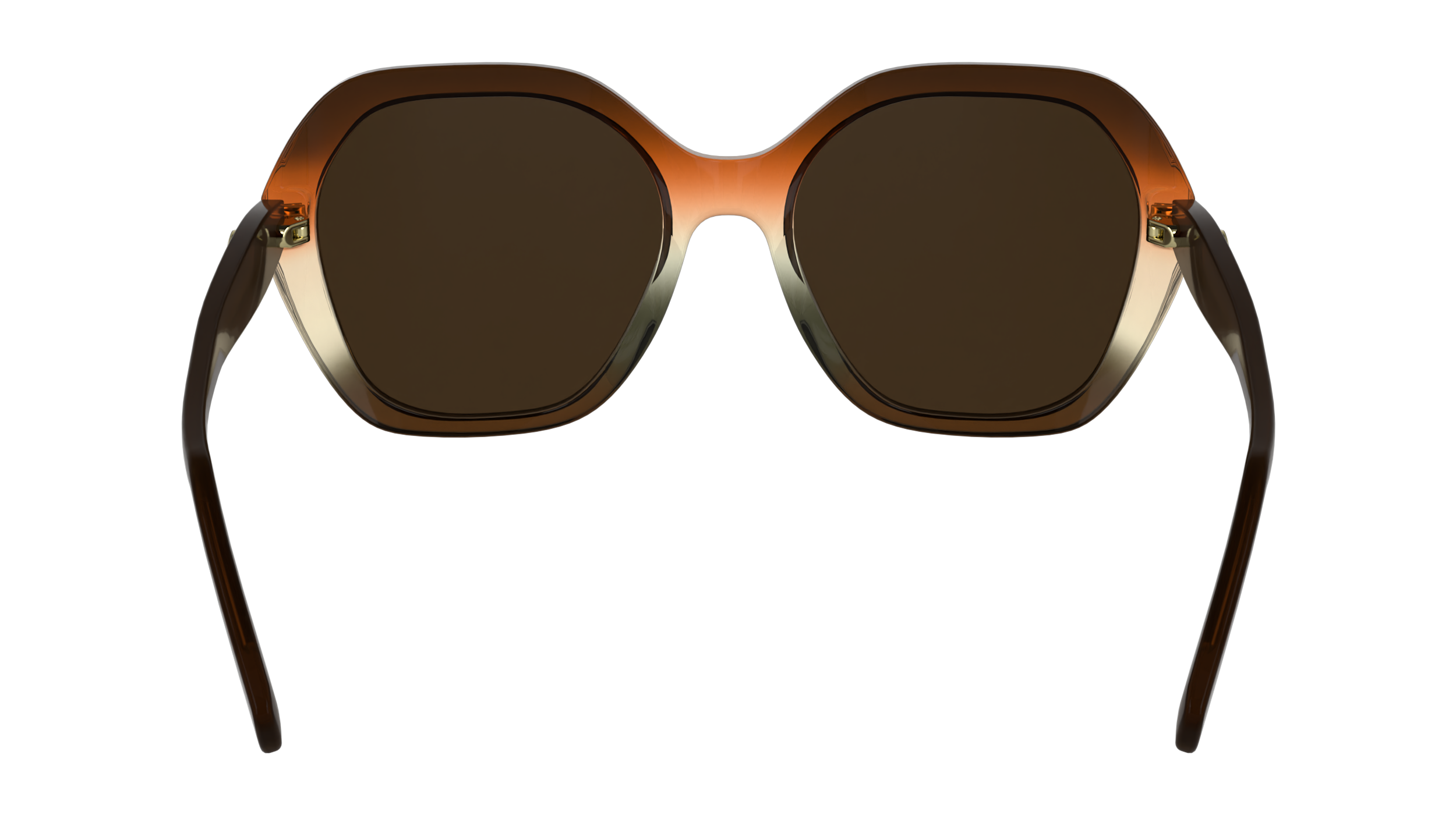 LO759S 209 Occhiali da sole LONGCHAMP 5