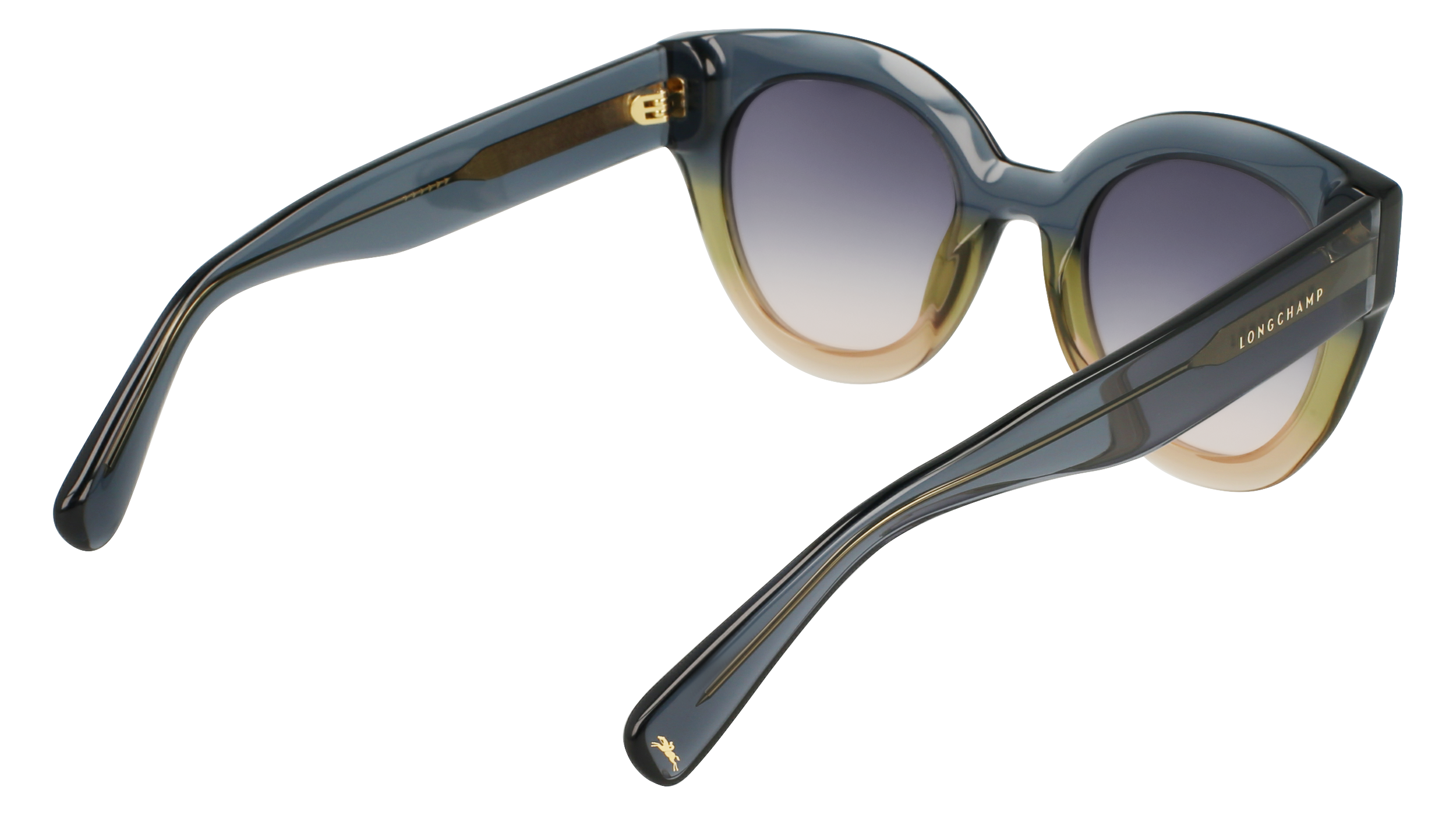 LO750S 434 Occhiali da sole LONGCHAMP 6