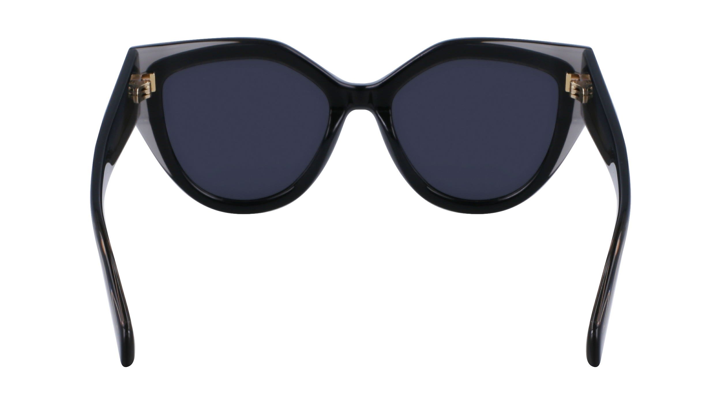 SF2004S 024 Occhiali da sole Ferragamo 6