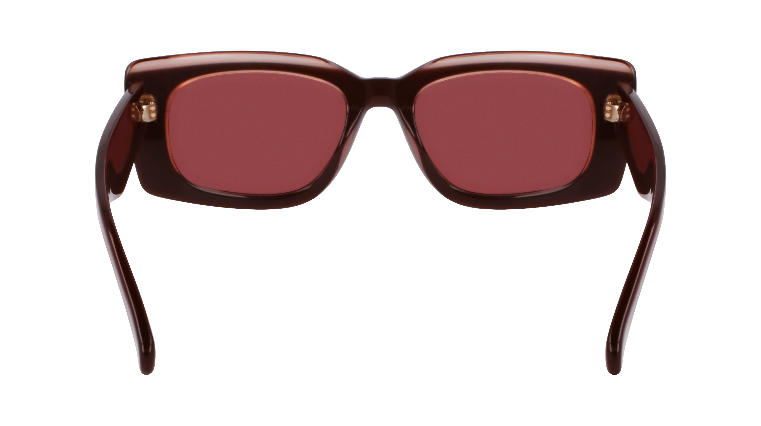 SF1079SN 211 Occhiali da sole Ferragamo 6