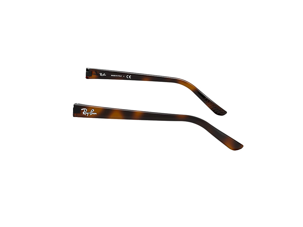 Aste di ricambio Ray-Ban RB2027 Predator 2 Aste di ricambio Ray - Ban 650833 tartarugato 000036061013 4