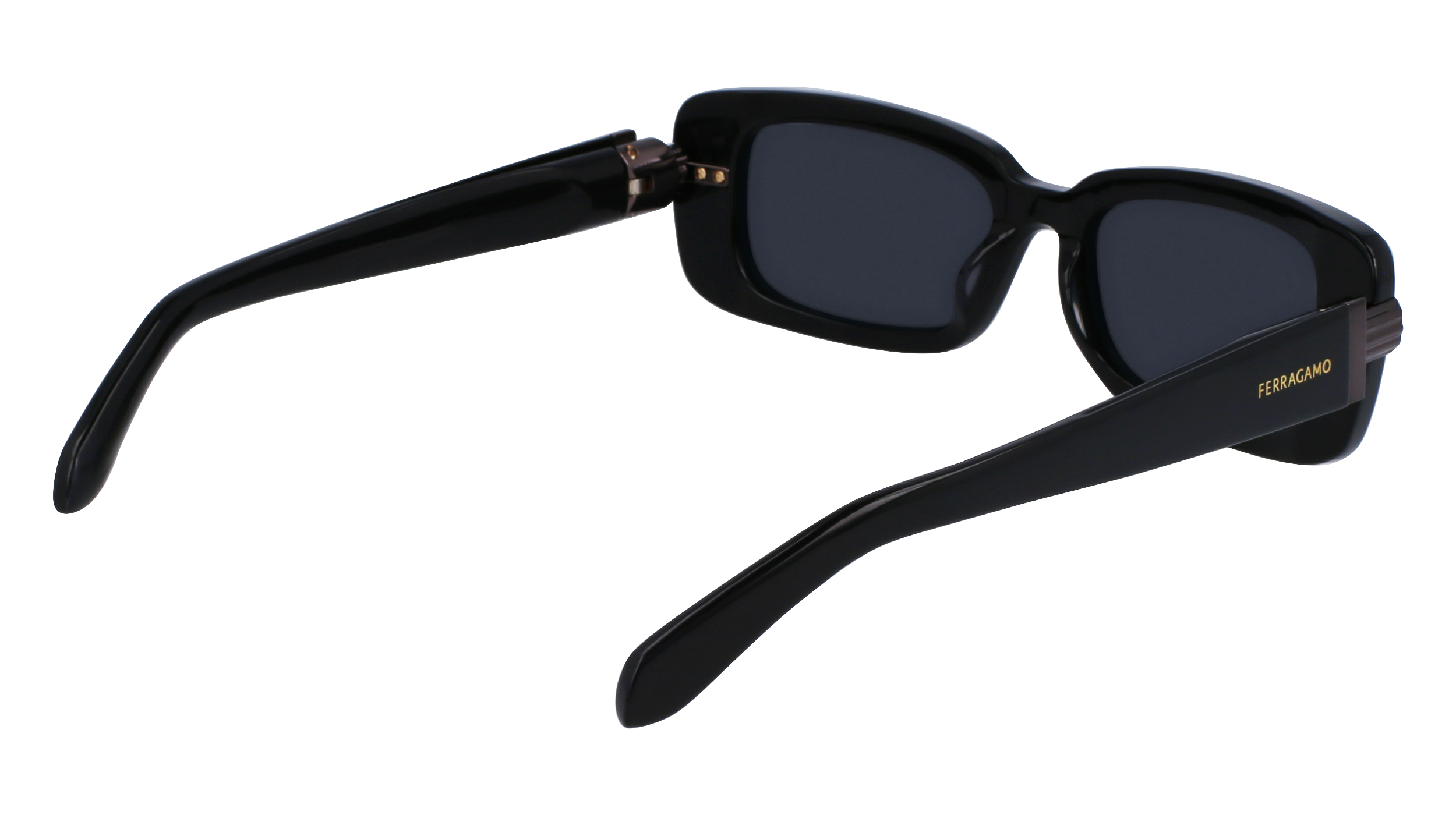SF1105S 001 Occhiali da sole Ferragamo 4