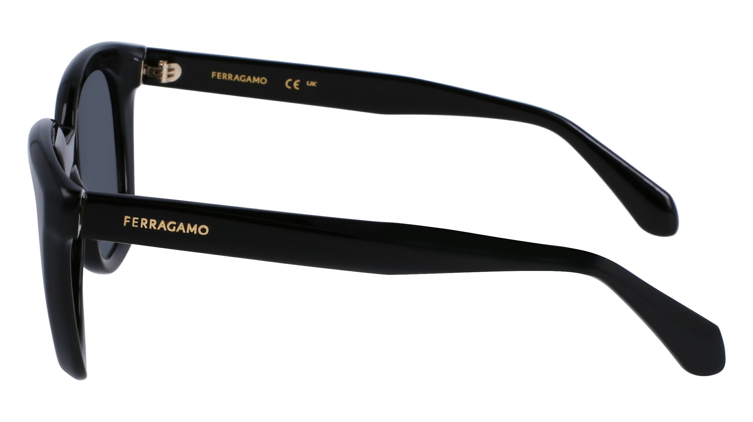SF2000S 001 Occhiali da sole Ferragamo 4