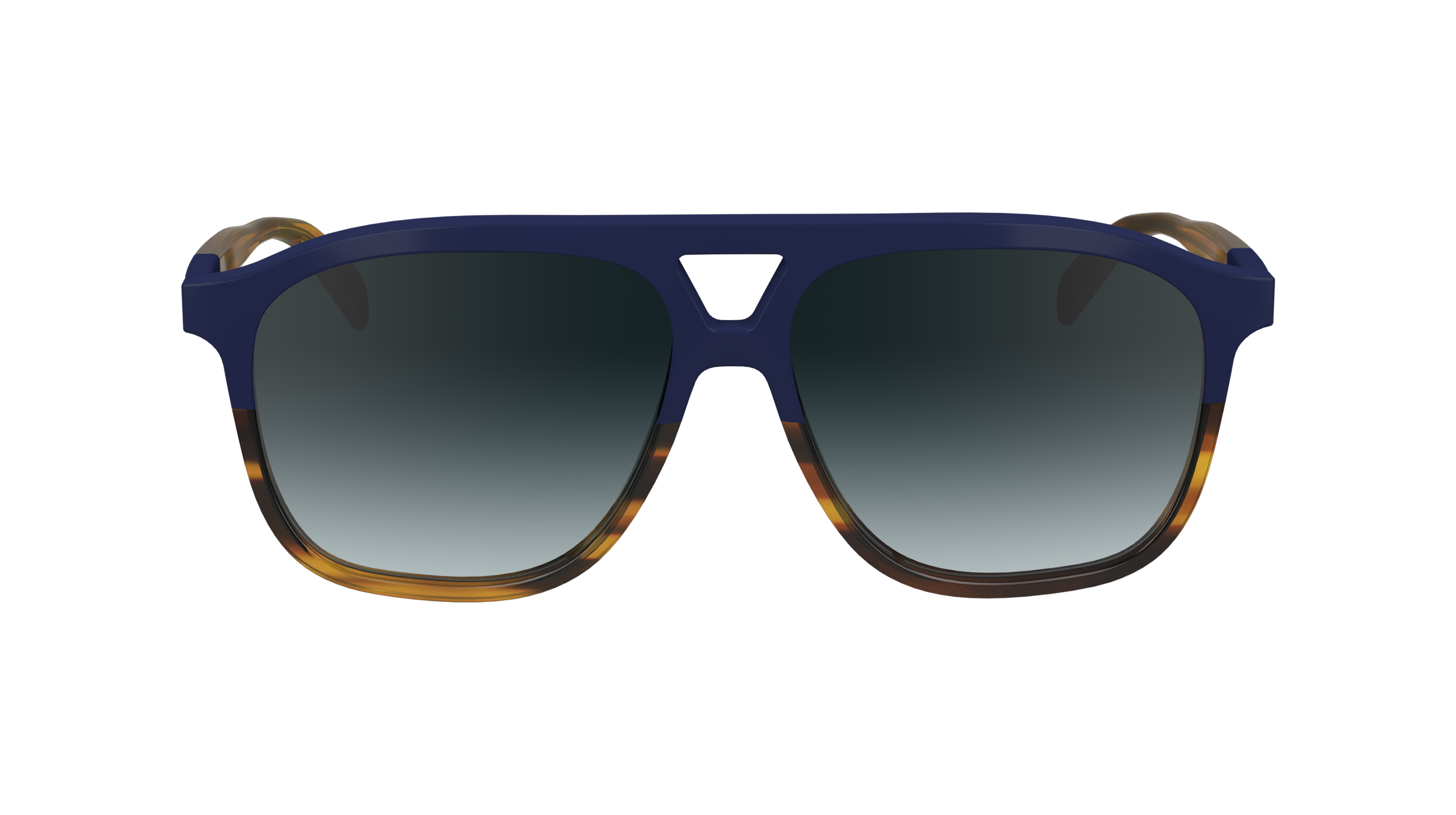 LO751S 430 Occhiali da sole LONGCHAMP 2