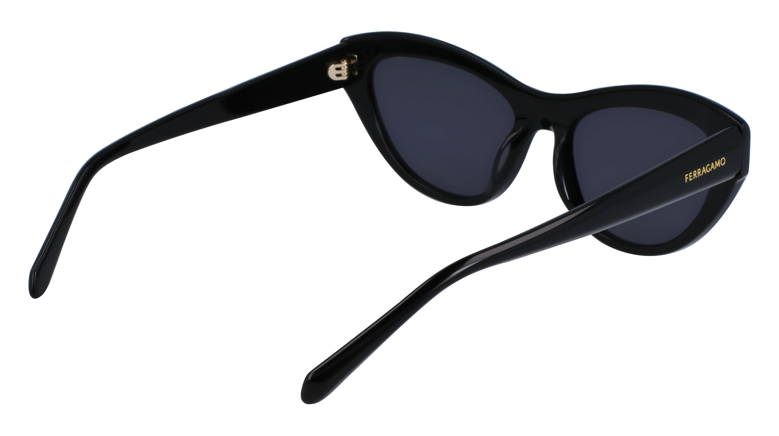 SF1103S 001 Occhiali da sole Ferragamo 5