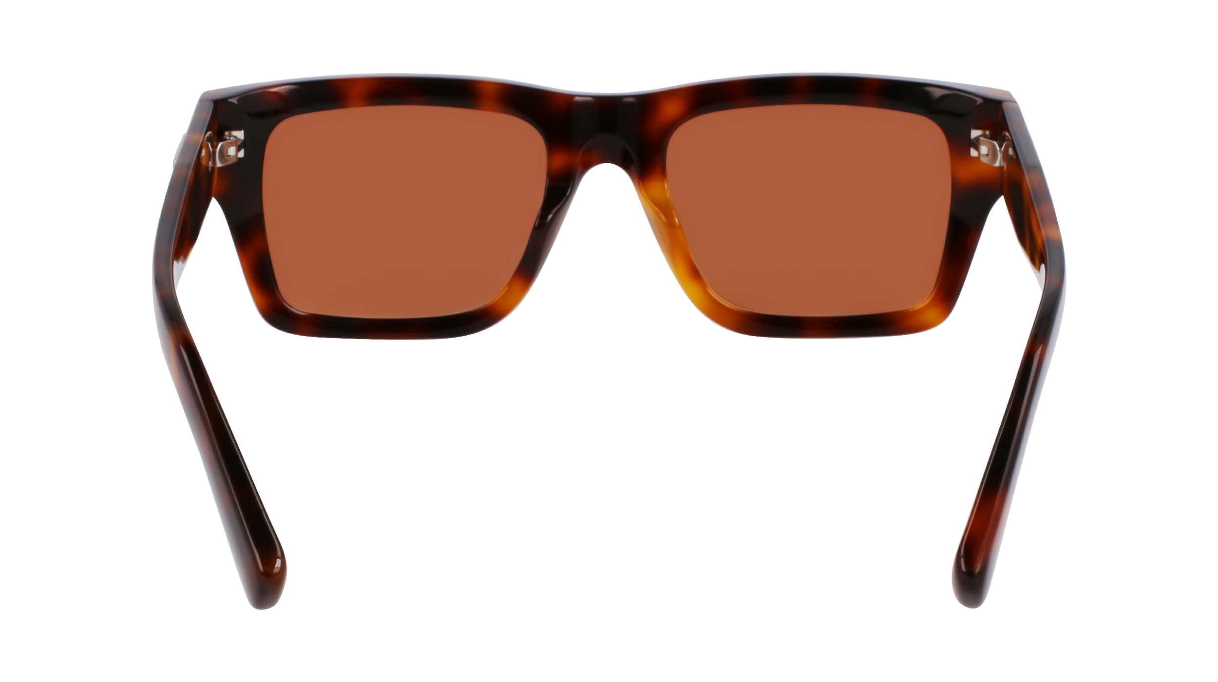 SF2033S 240 Occhiali da sole Ferragamo 6