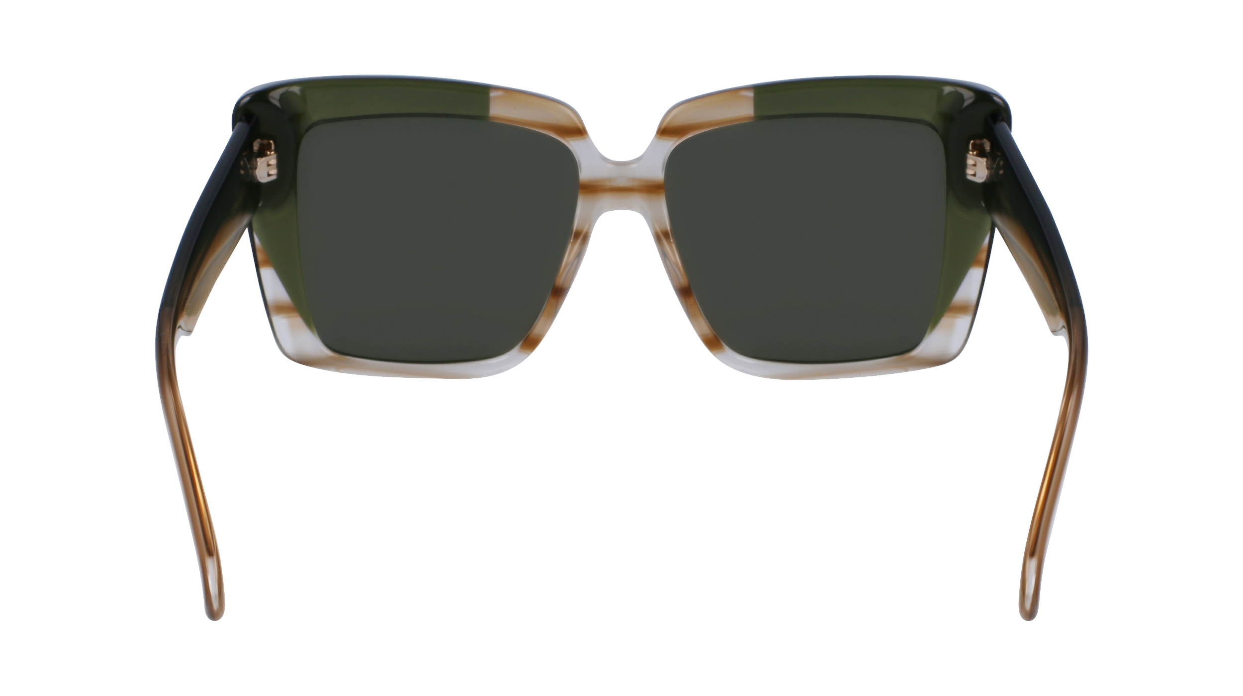 SF1060SN 263 Occhiali da sole Ferragamo 6