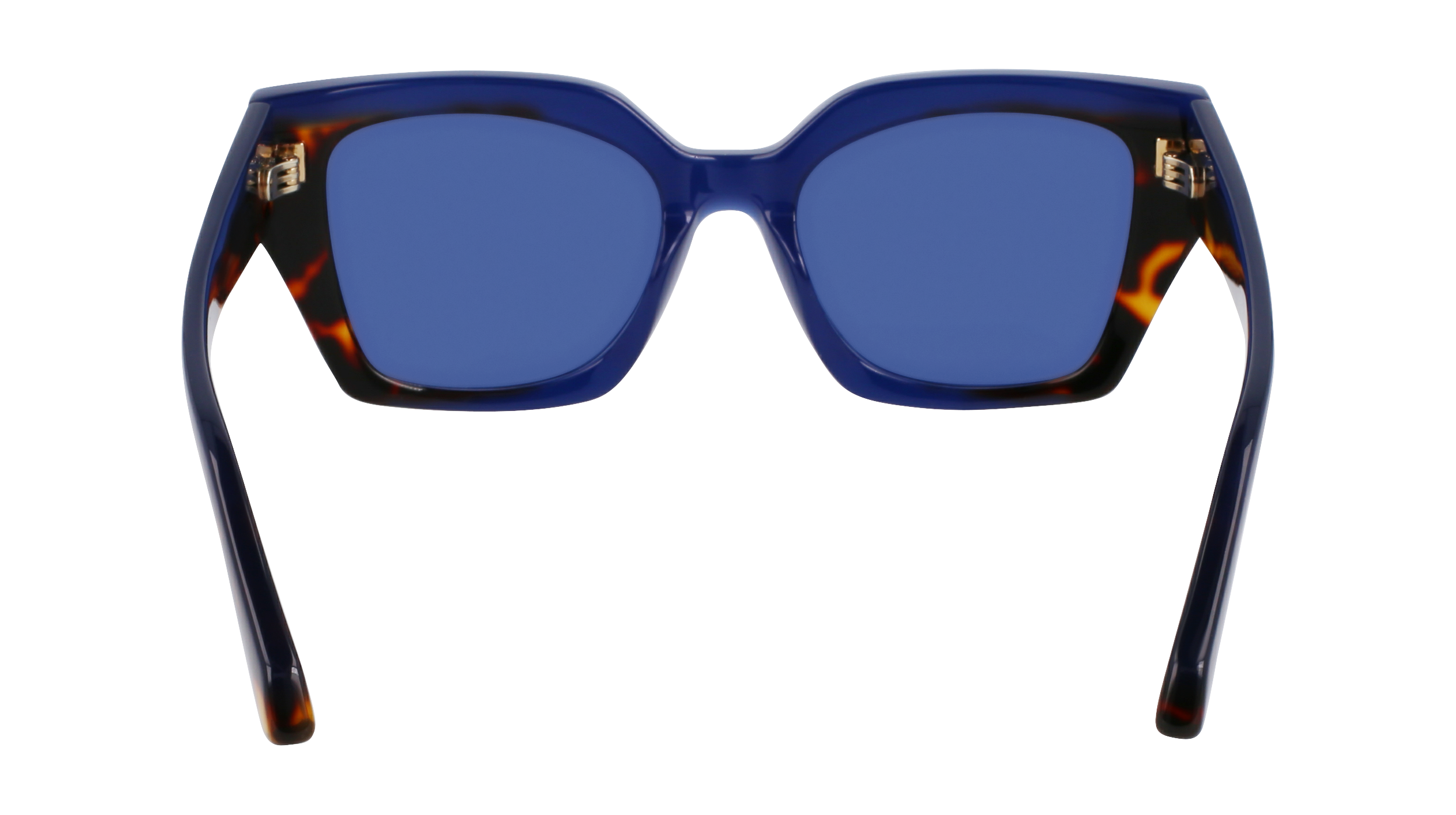SF2035S 424 Occhiali da sole Ferragamo 6