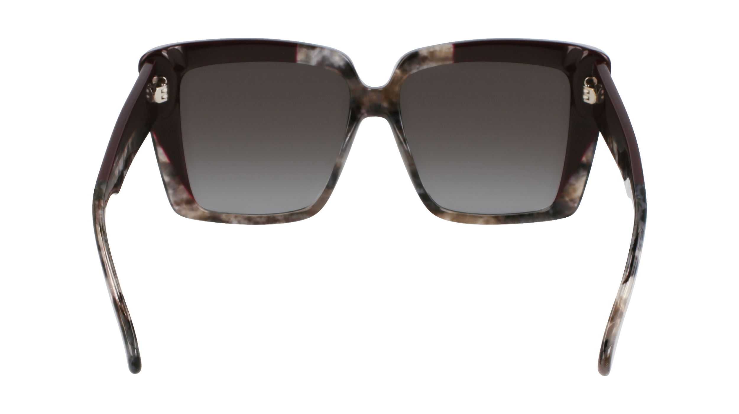 SF1060SN 021 Occhiali da sole Ferragamo 6