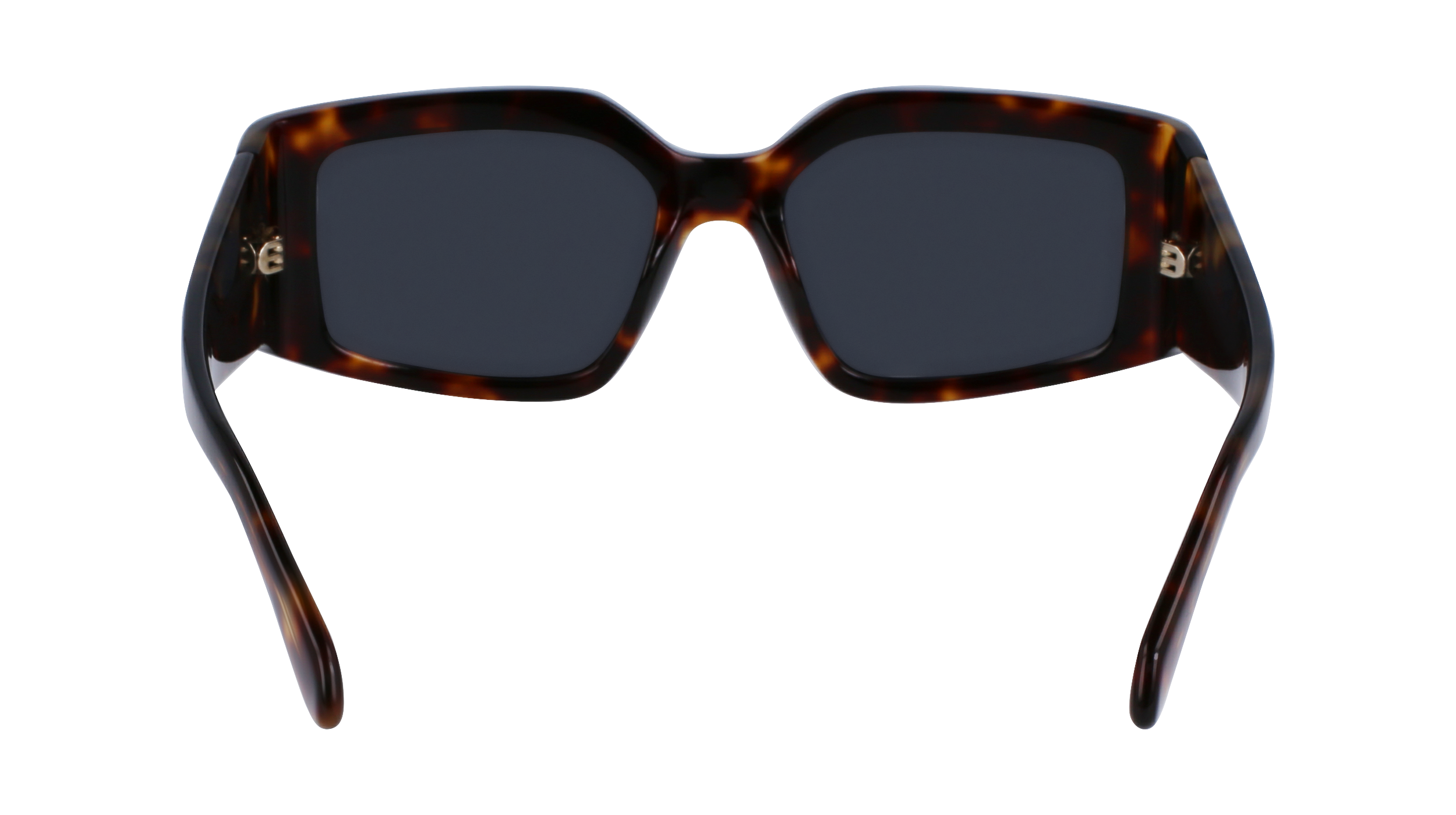 SF1101S 242 Occhiali da sole Ferragamo 10