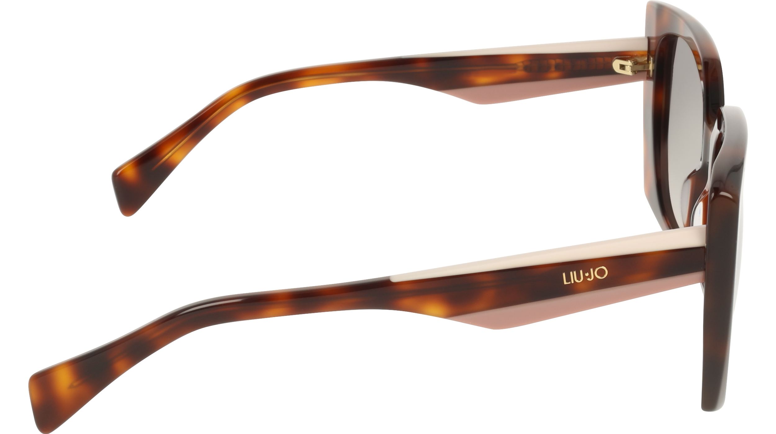 LJ819S 240
