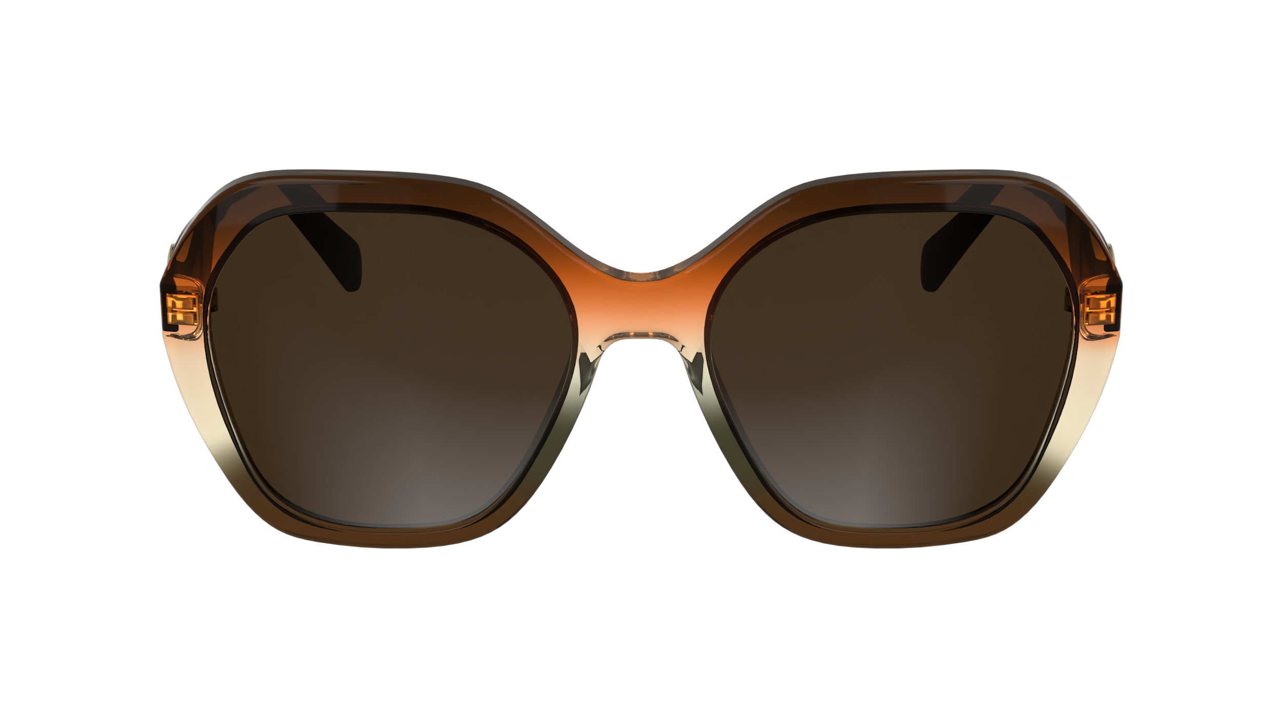 LO759S 209 Occhiali da sole LONGCHAMP 2