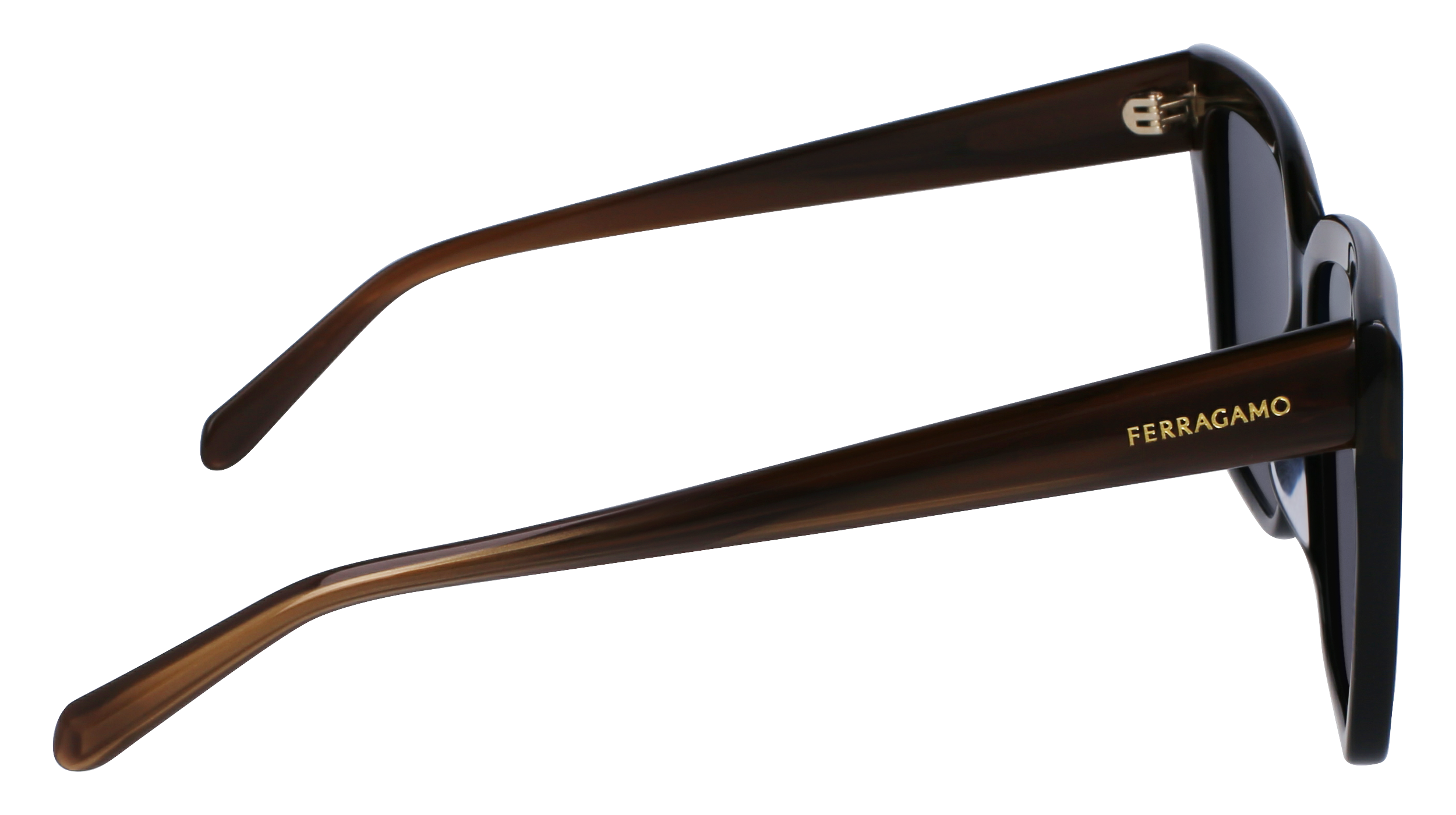 SF1102S 217 Occhiali da sole Ferragamo 8