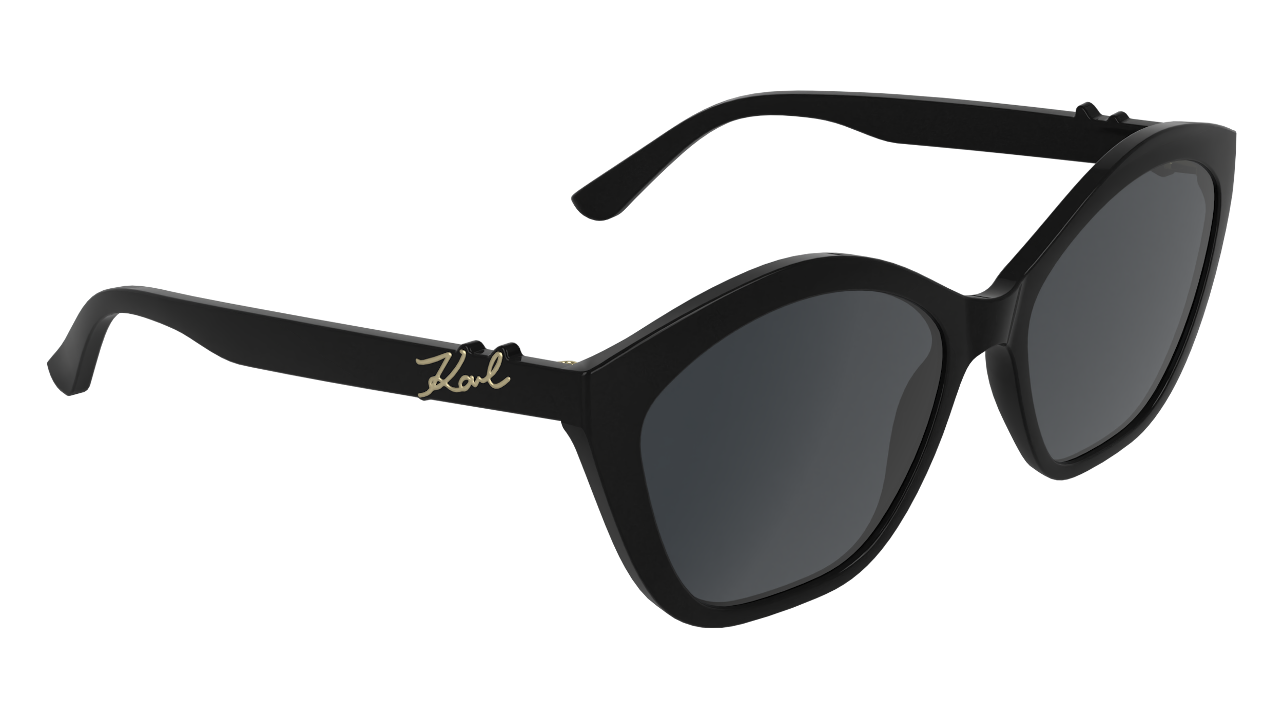 Karl Lagerfeld KL6222S 001