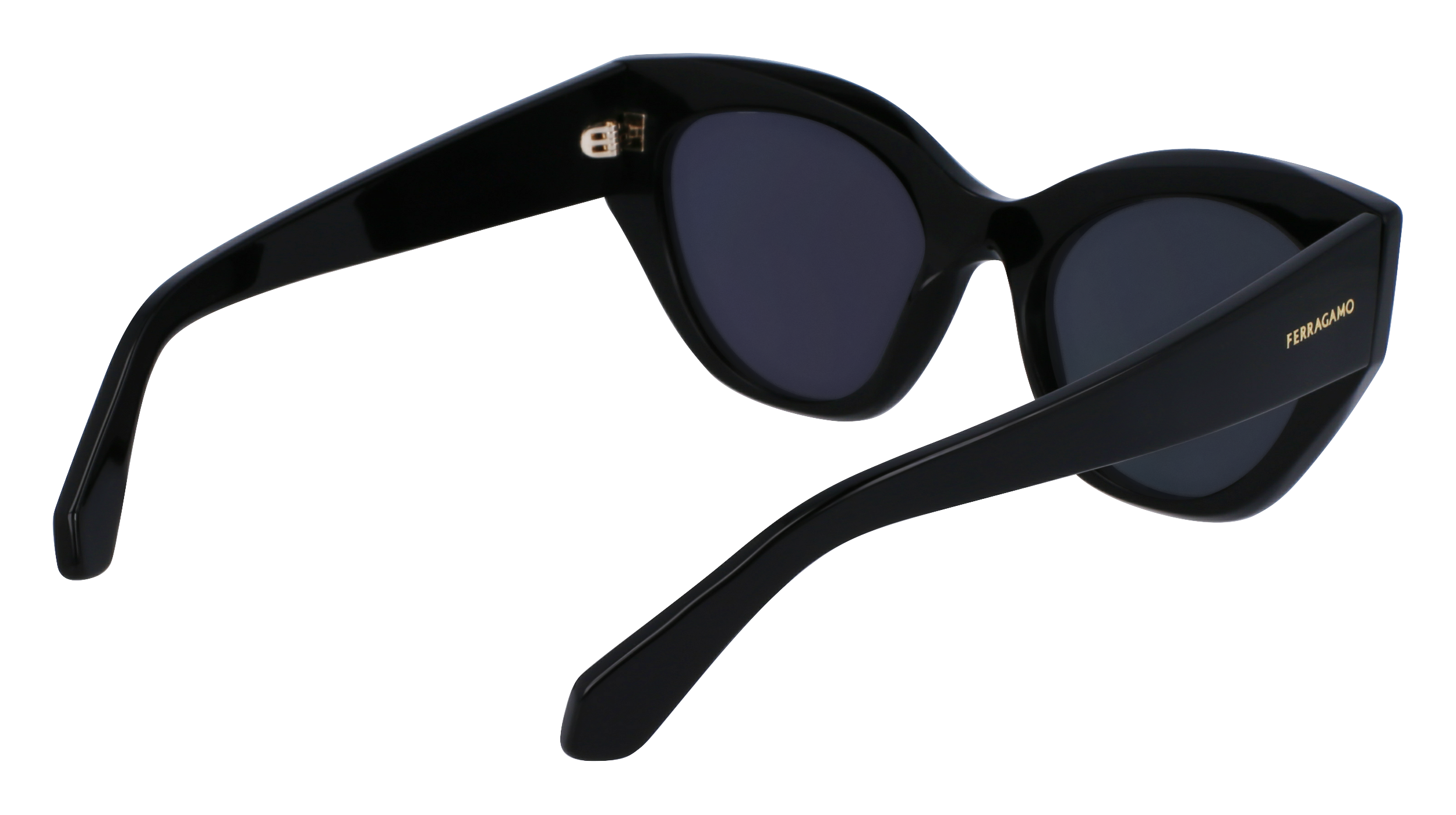 SF1107S 001 Occhiali da sole Ferragamo 7