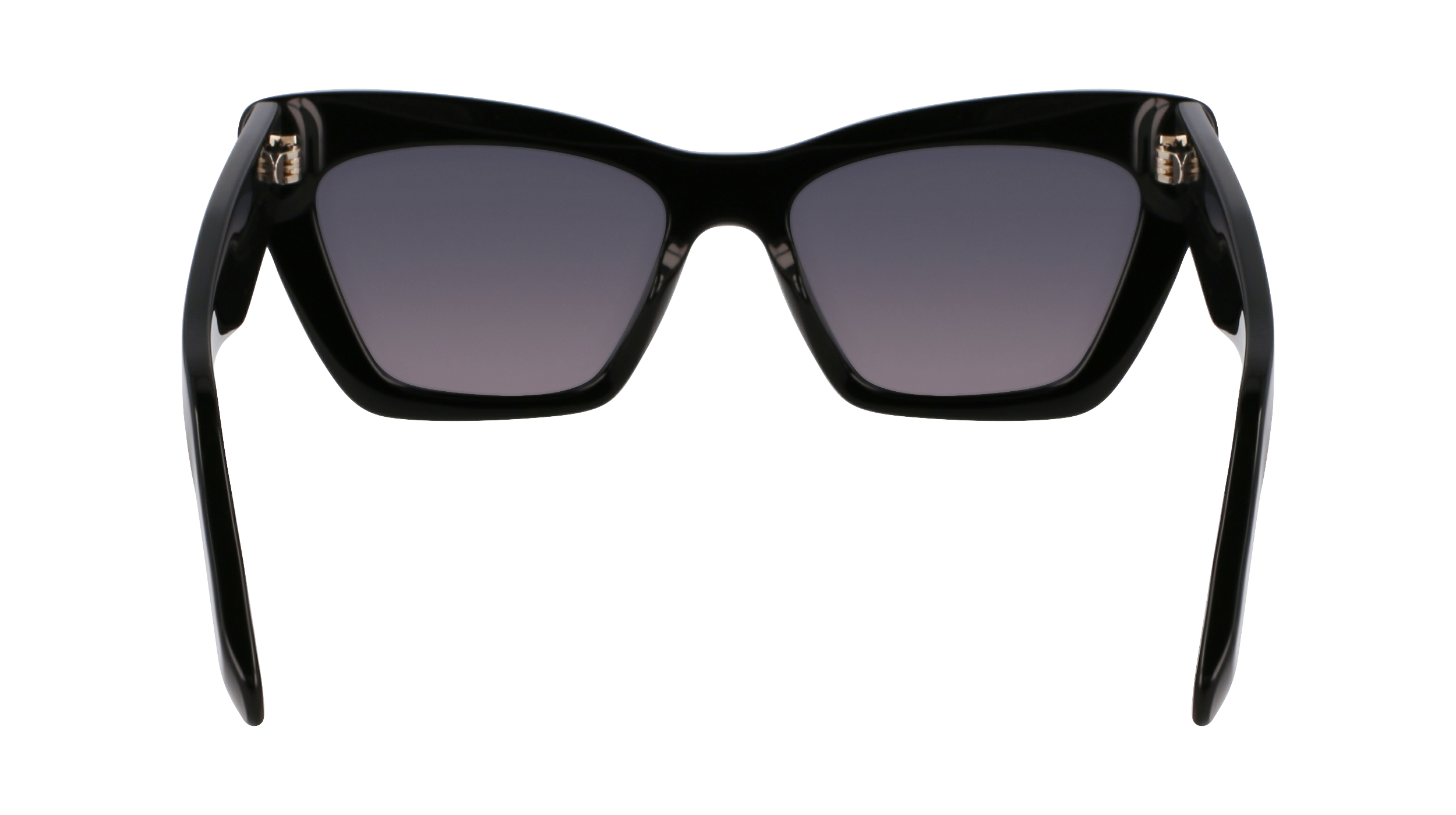 SF929SN 001 Occhiali da sole Ferragamo 6