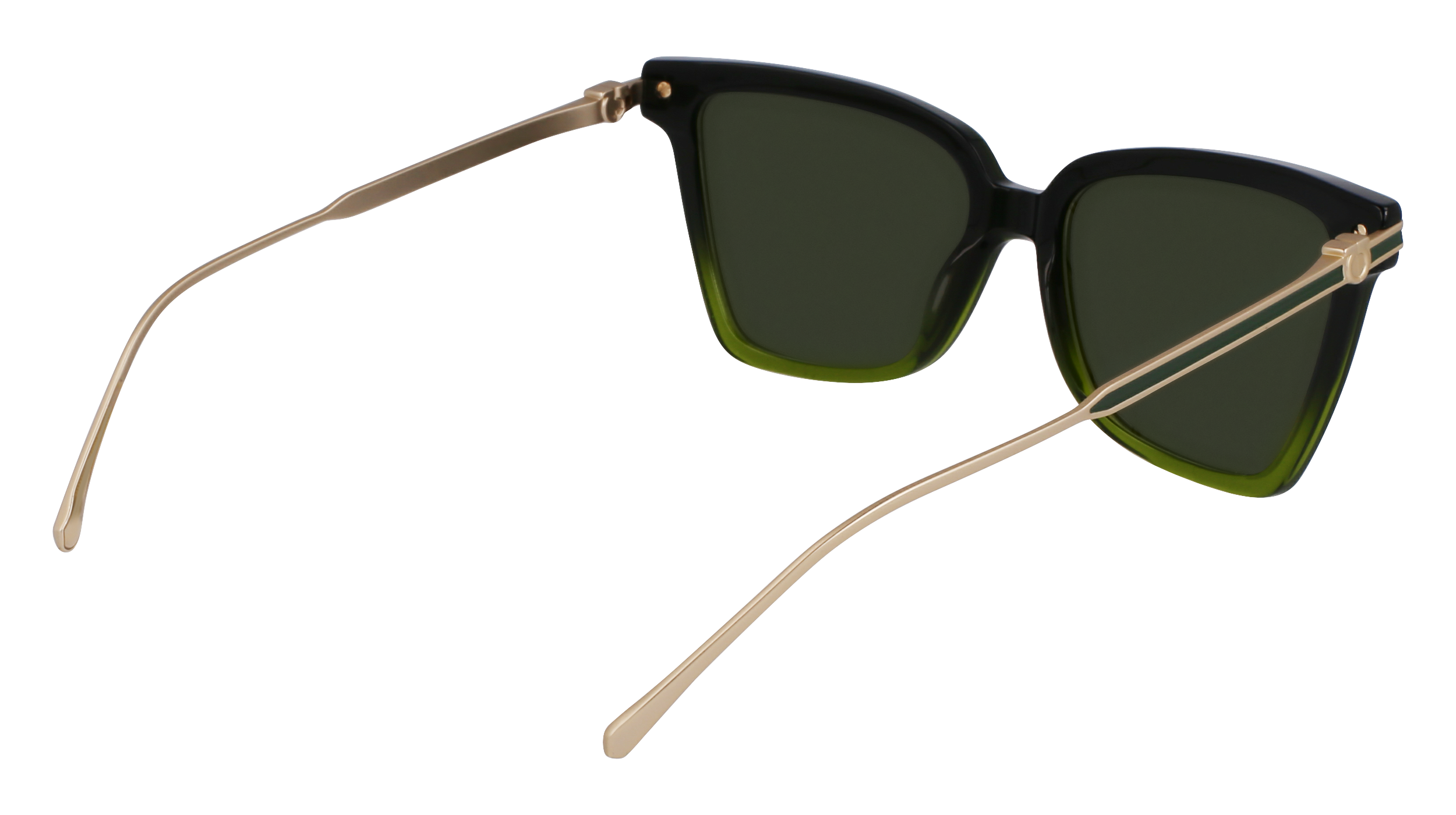 SF2036S 316 Occhiali da sole Ferragamo 5