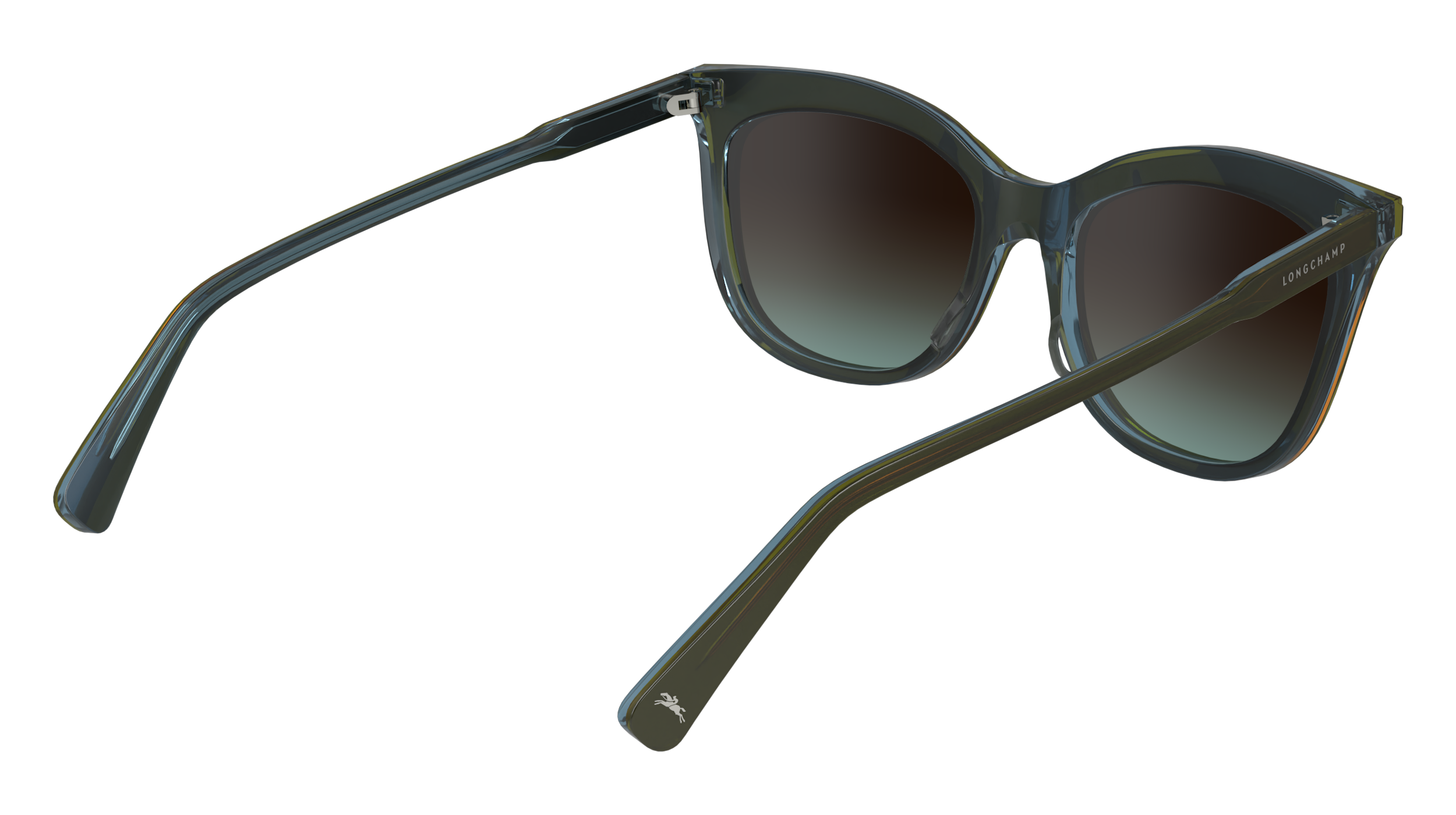 LO738S 310 Occhiali da sole LONGCHAMP 7